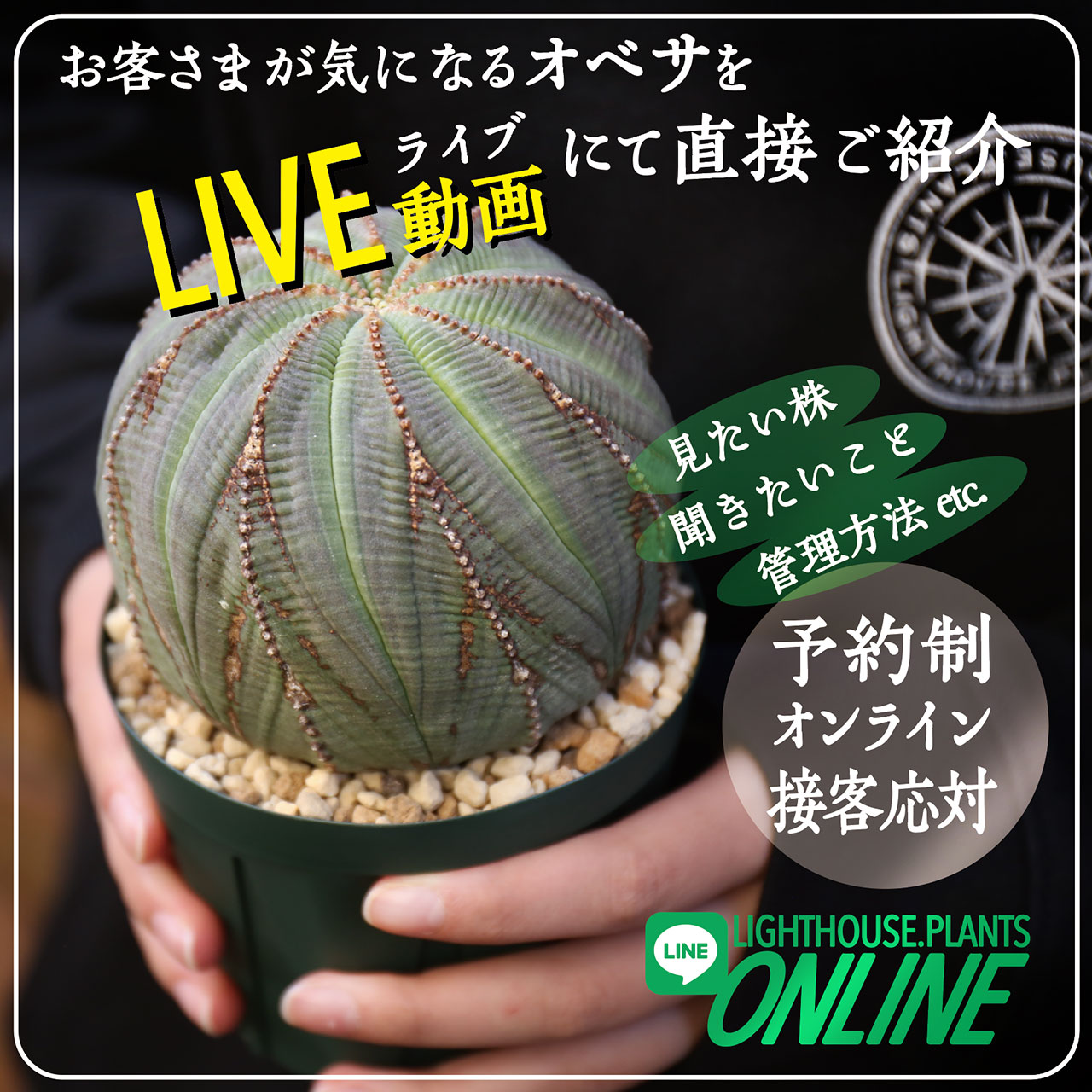 【オンライン接客】LINEコールのビデオ通話を利用したLIGHTHOUSE.PLANT ONLINE