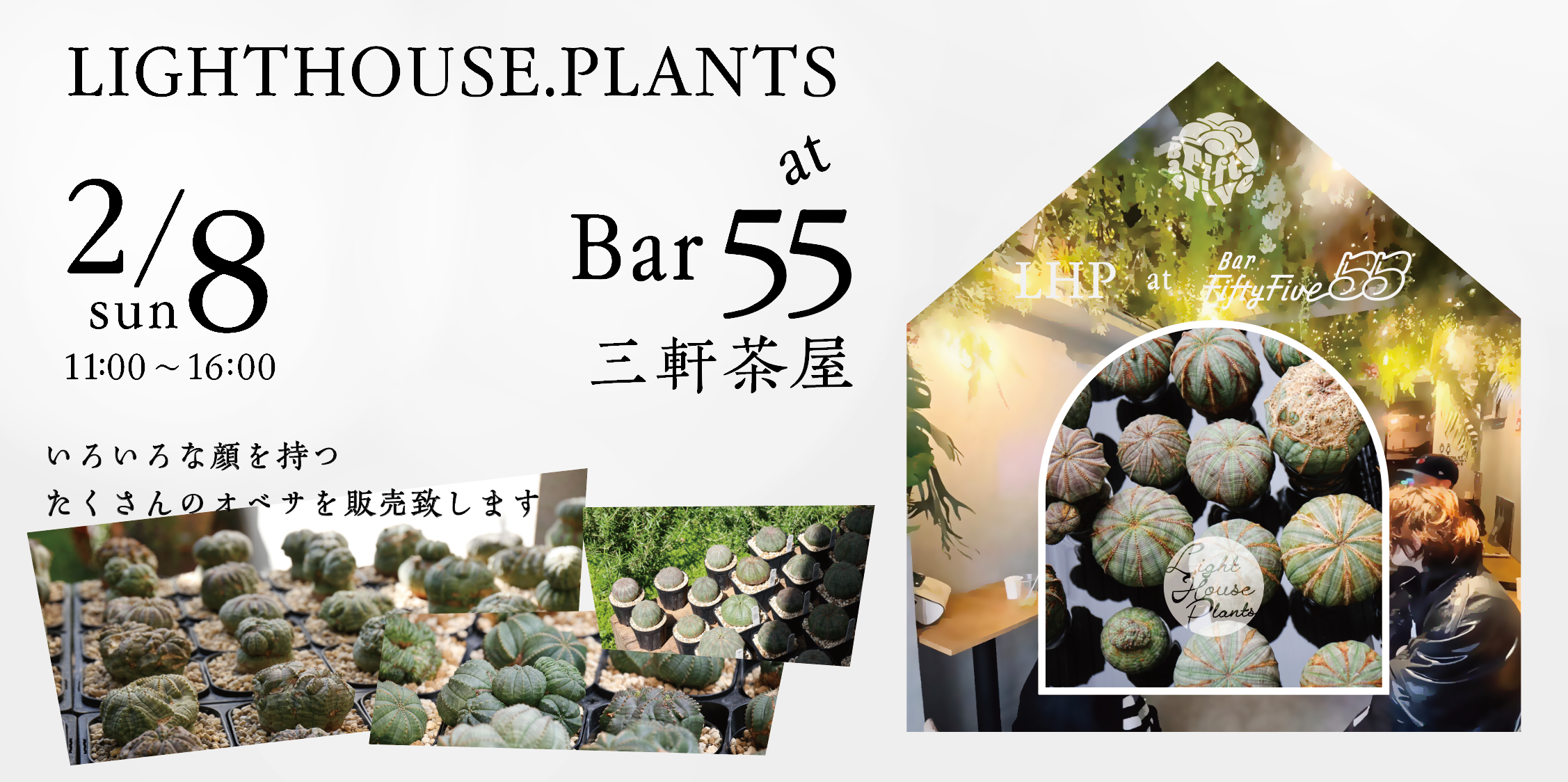 【イベント情報】LIGHTHOUSE PLANTS販売会 2/8 in Bar Fifty Five
