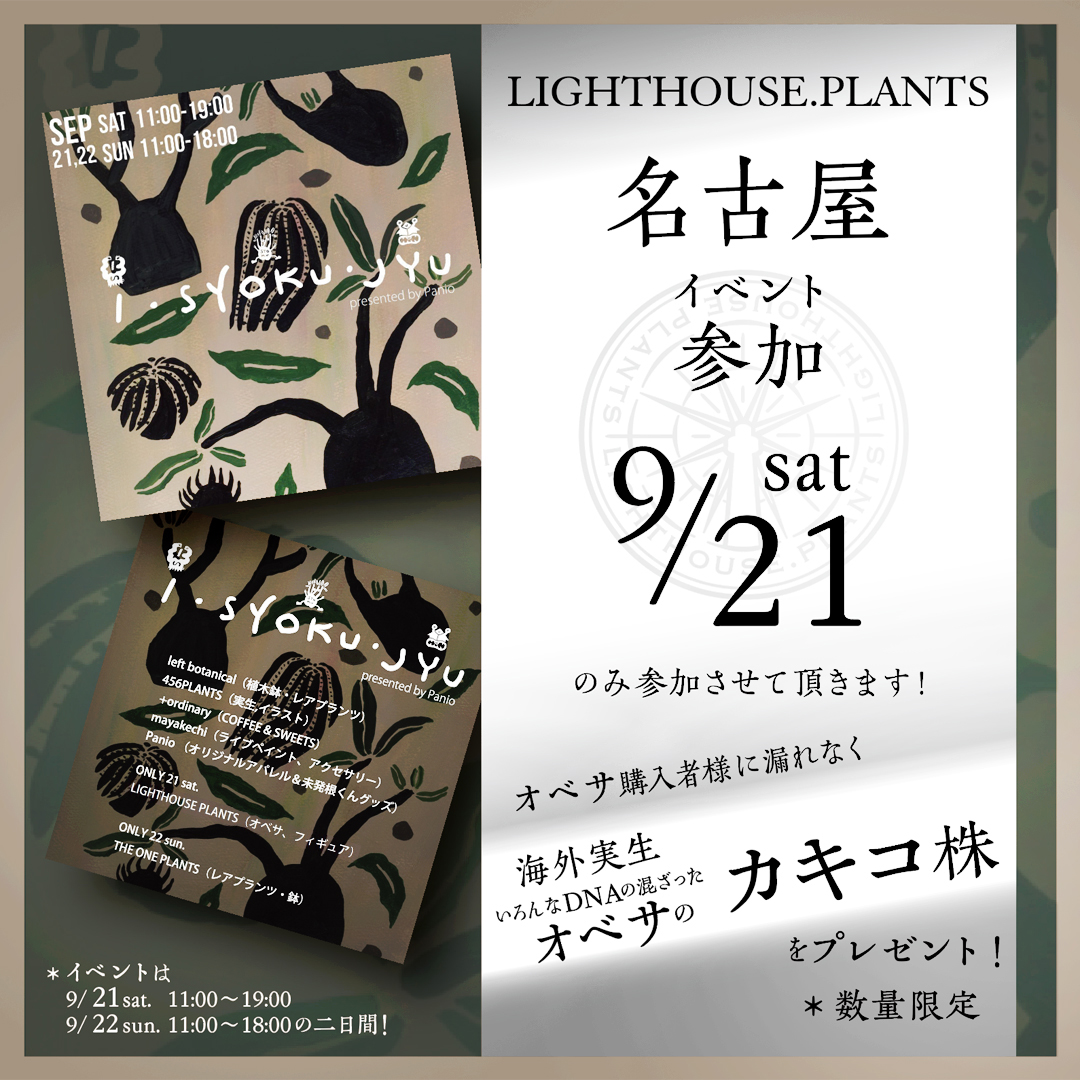 【出店情報】名古屋 " I・SYOKU・JYU 衣植住 " 9月21日 土曜日 11時スタート！