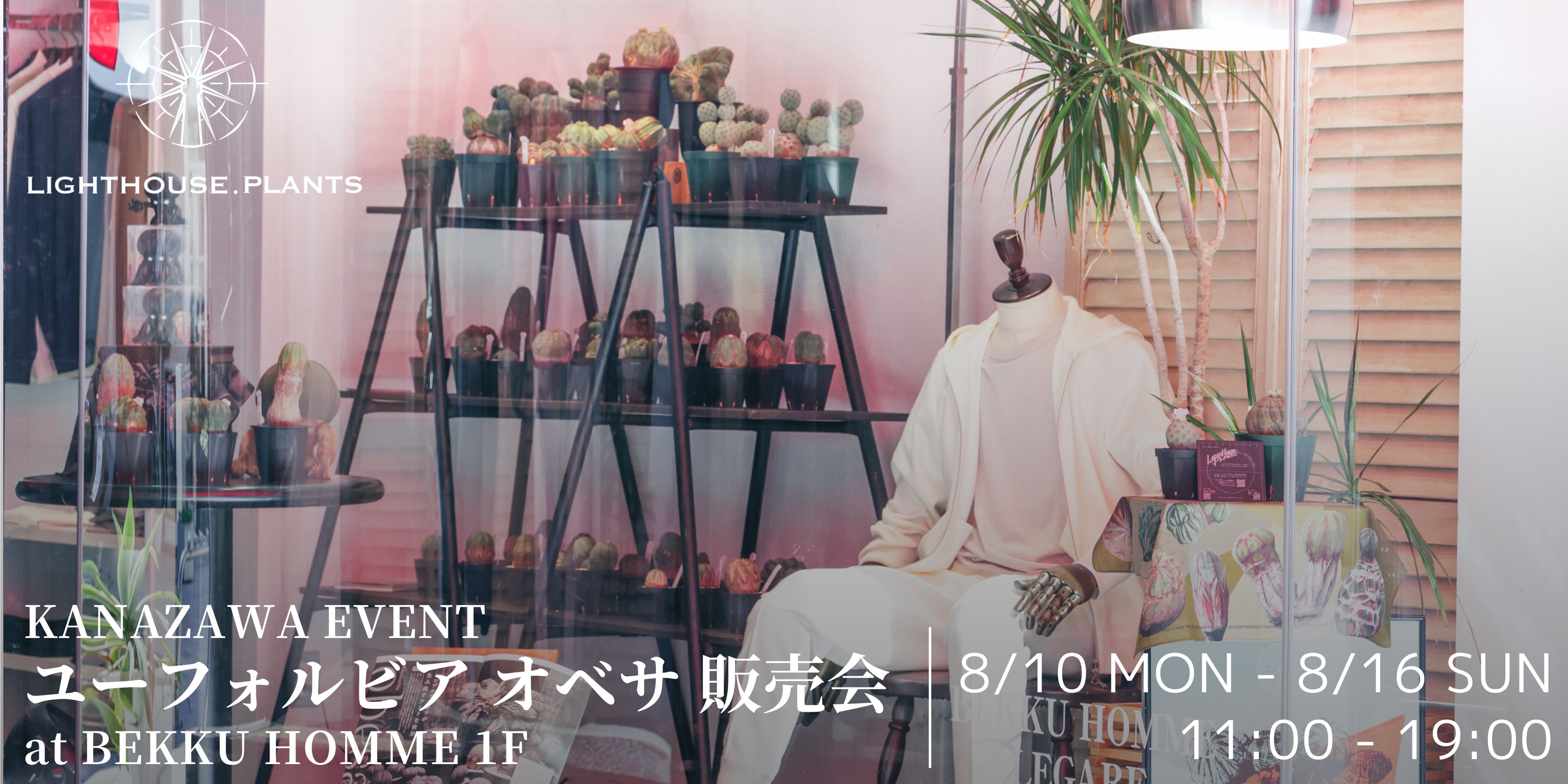 【イベント情報】LIGHTHOUSE PLANTS ユーフォルビア オベサ販売会 at 金沢