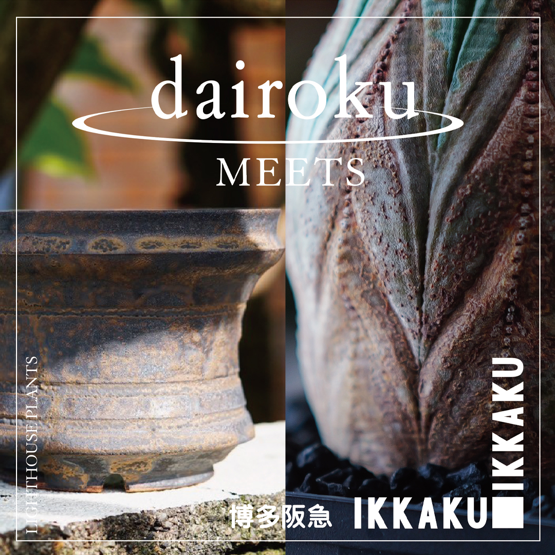 【作家紹介】dairoku氏 IKKAKU 博多阪急 8/30-9/1開催
