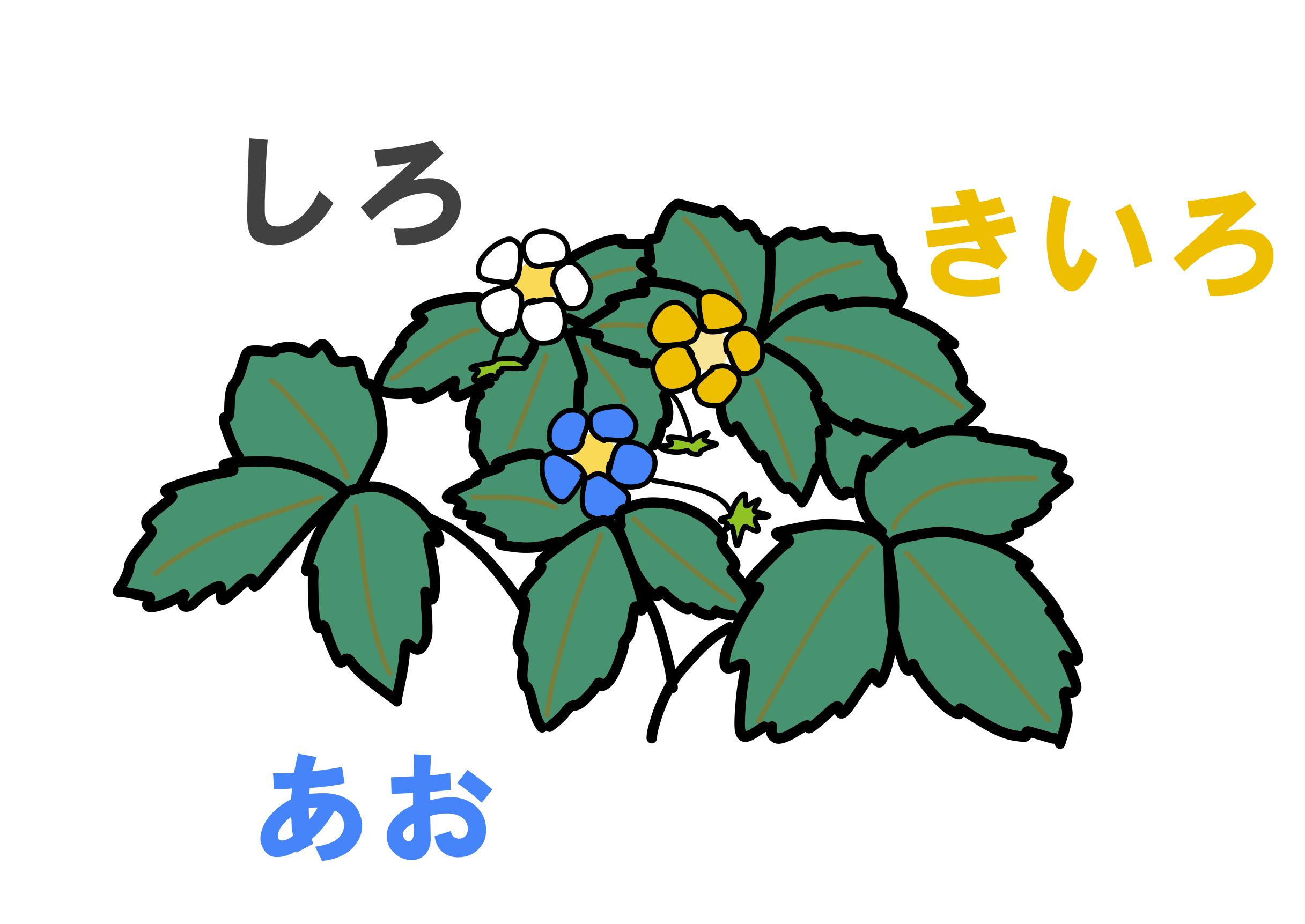【いちごクイズ】素材配布