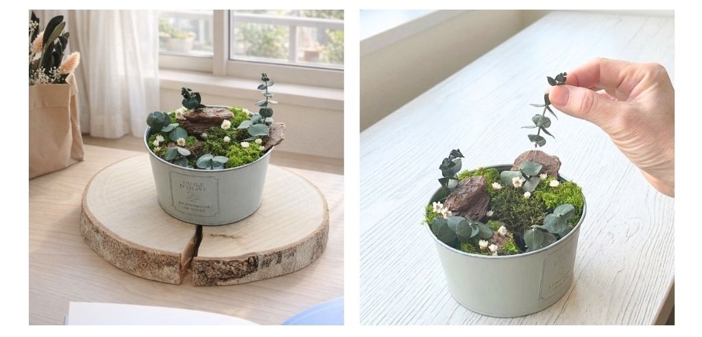 忙しい新生活に小さな癒し｜プリザーブドモスのポット箱庭キット