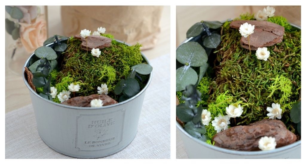 置くだけで心安らぐ、プリザーブドモスの箱庭キットがリニューアルして登場!