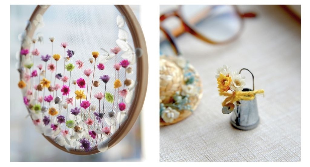 自然の息吹を運ぶ、素朴なグリクシア ドライ