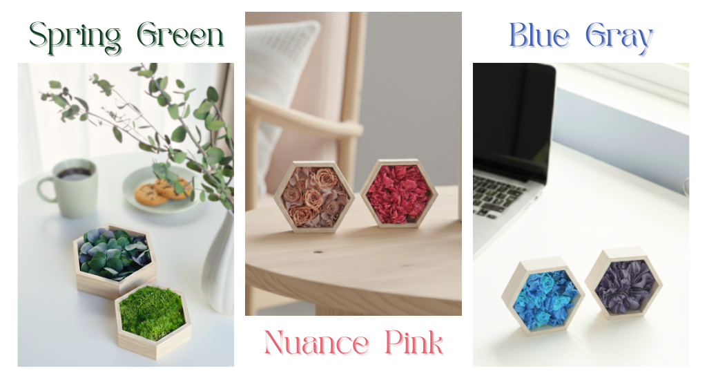 お部屋に小さな「景色」を作るボタニカルピース セレクション