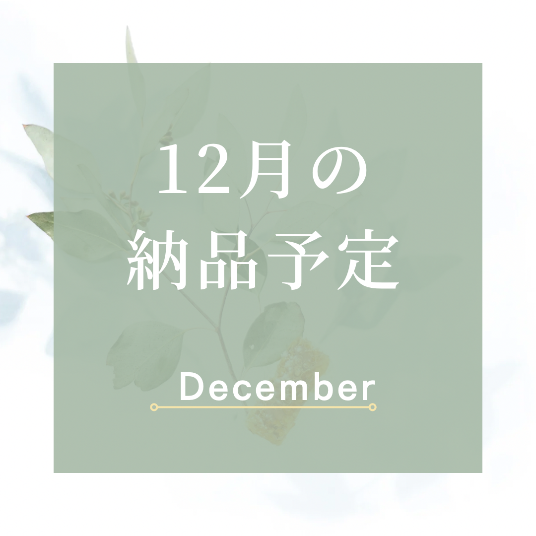 12月の予定