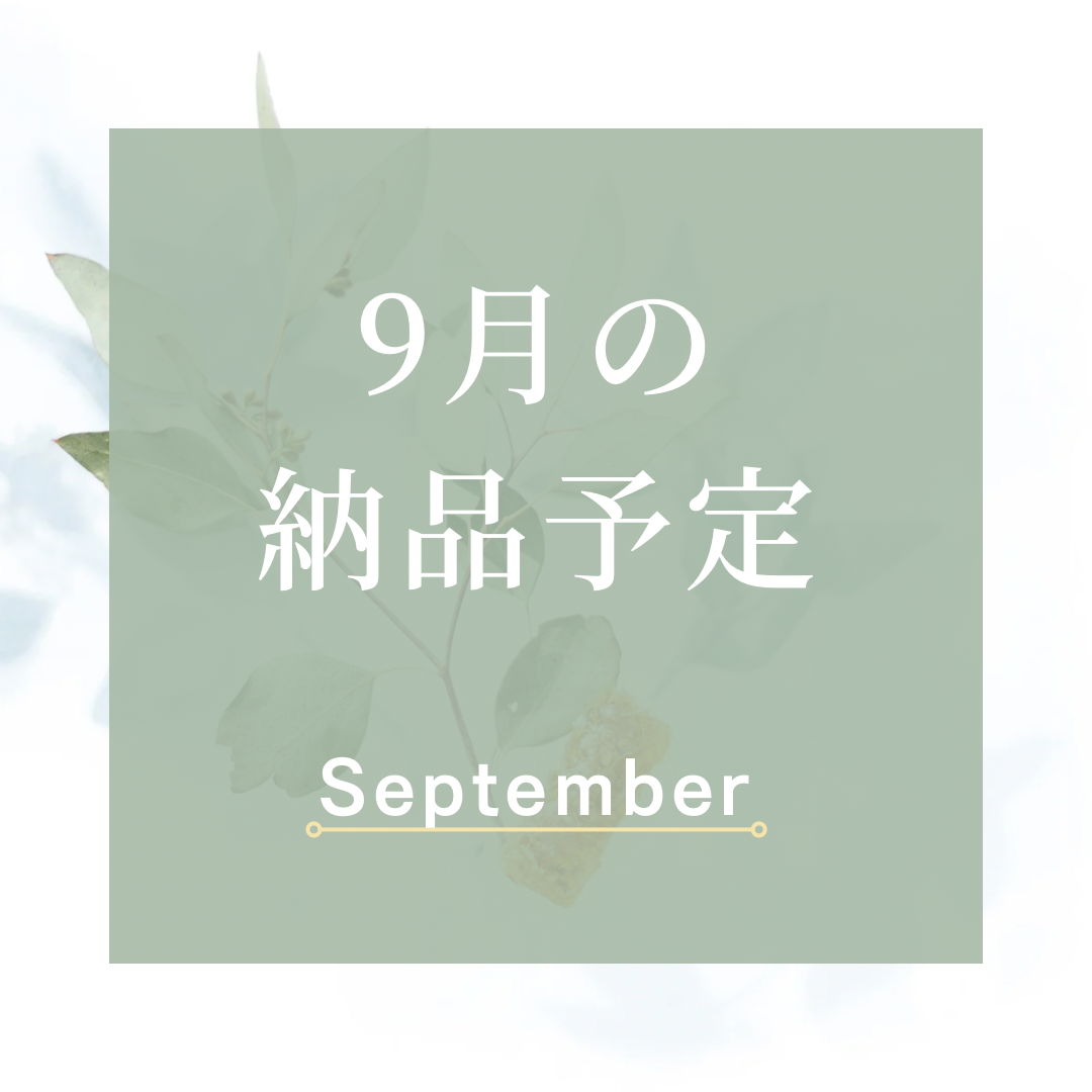 🥯9月の予定🥯