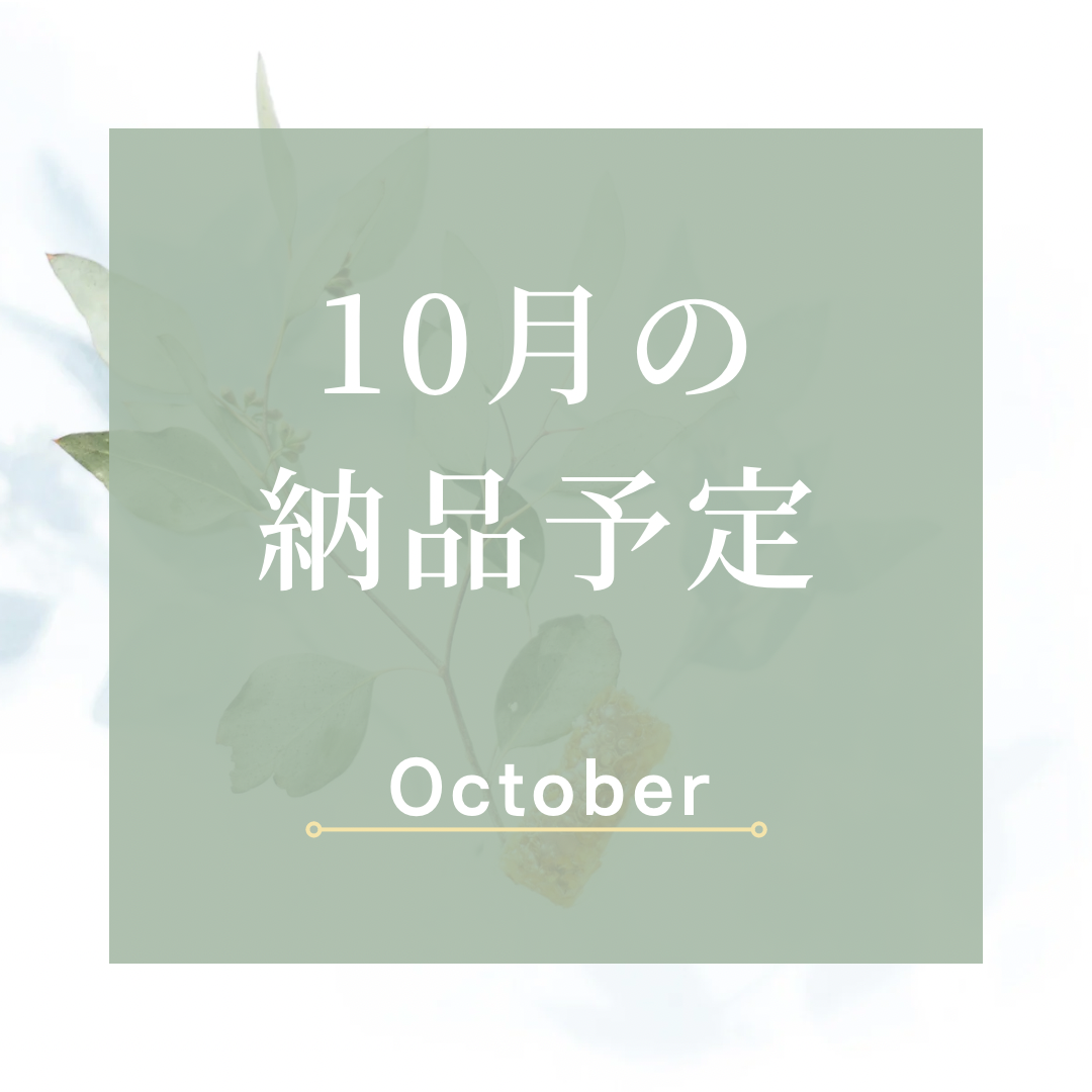 10月の予定