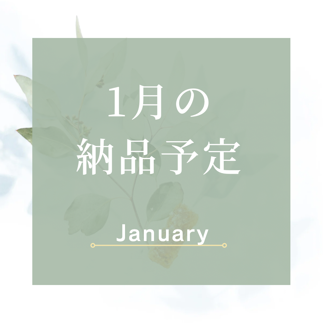 🥯1月の予定🥯