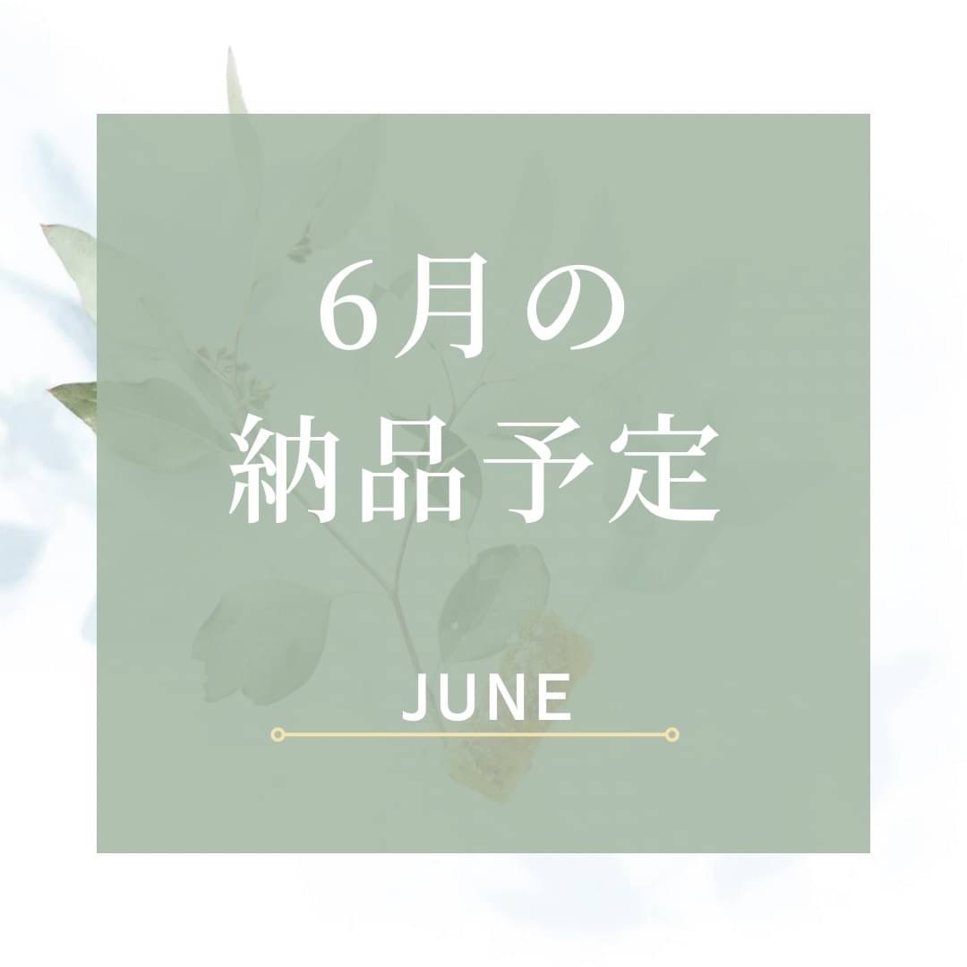🥯6月のスケジュール🥯