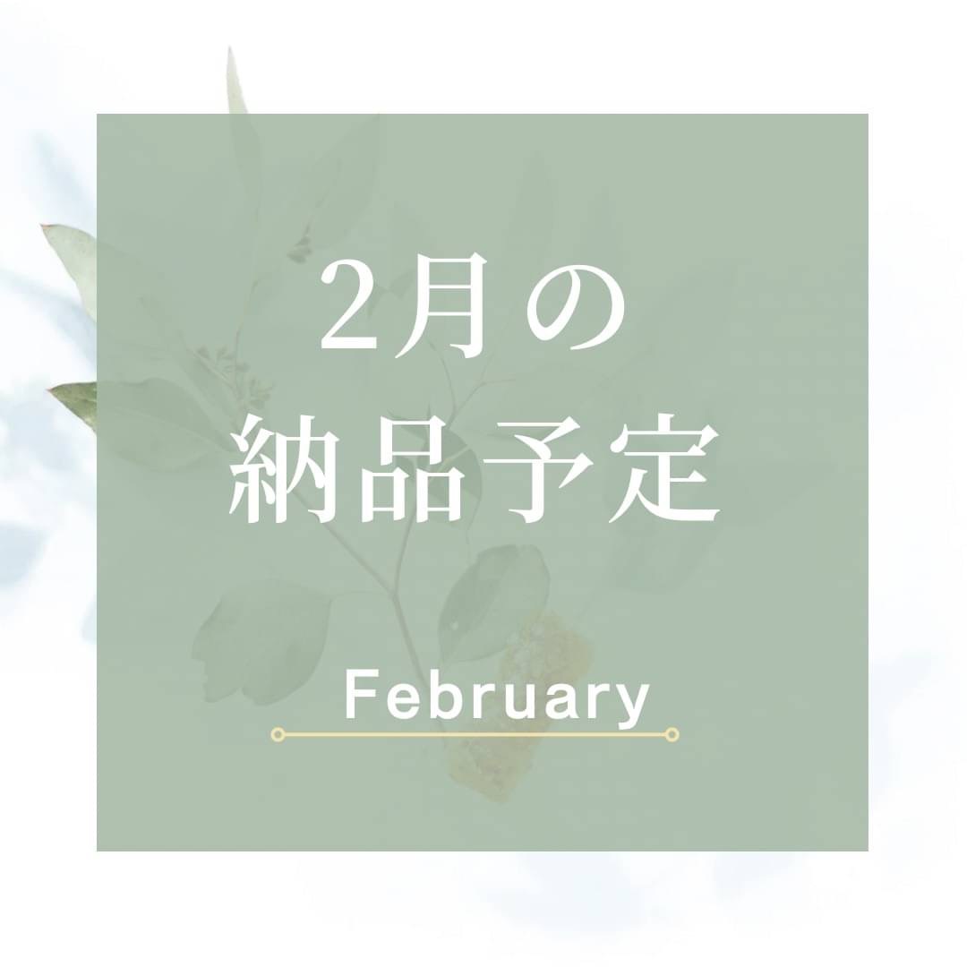 🥯2月のスケジュール🥯