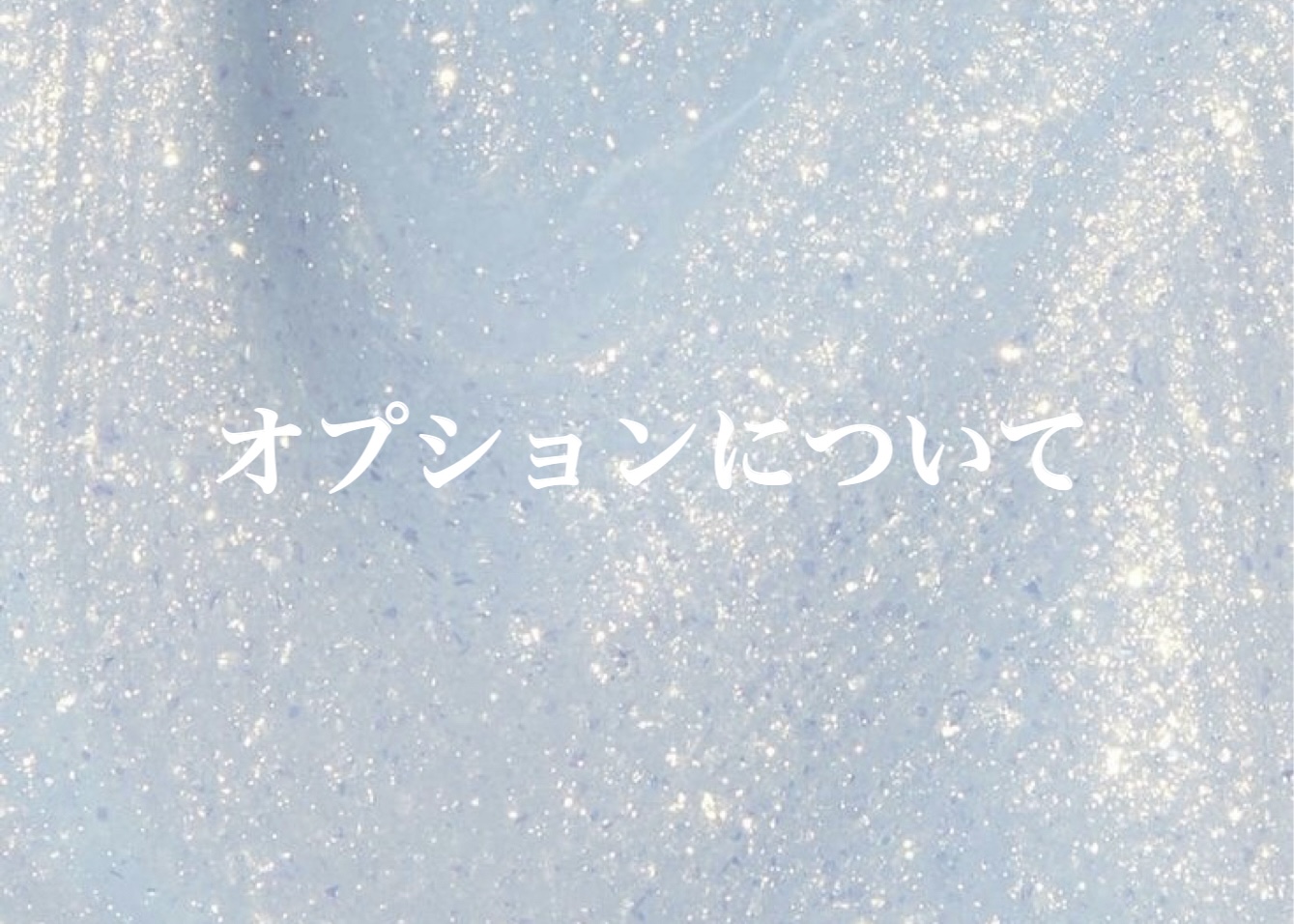 オプションについて