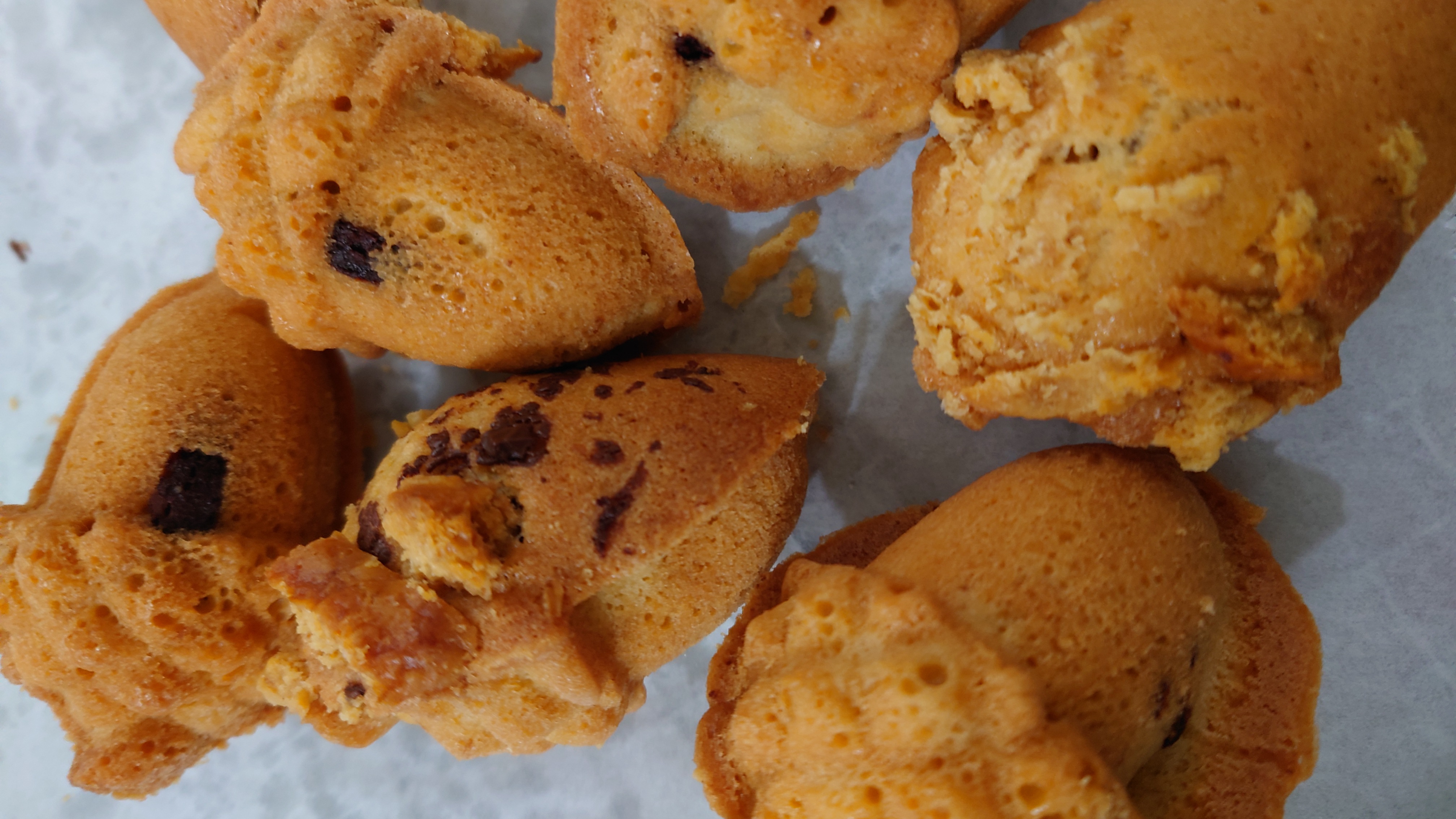 しあわせのたね　試作