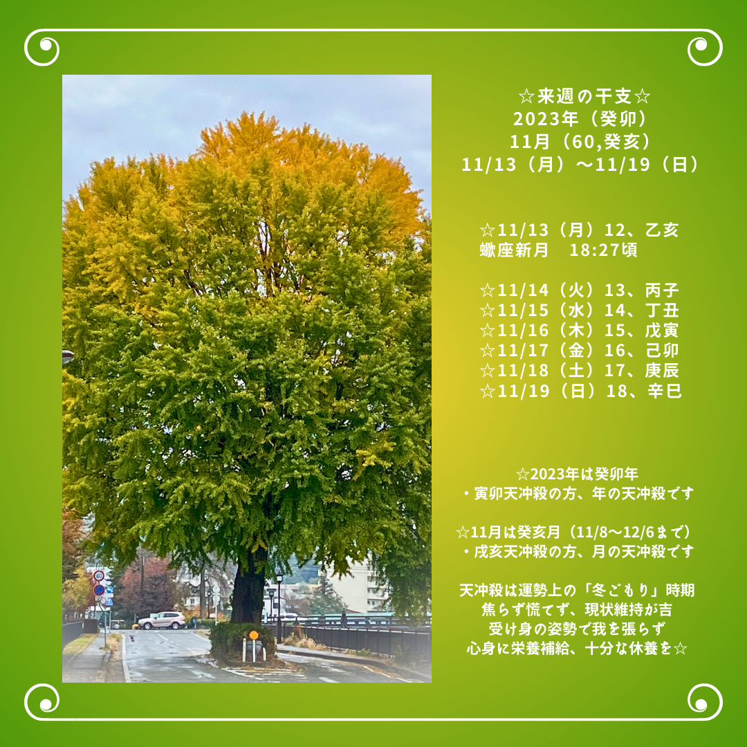 ☆来週の干支☆ 2023年（癸卯）  11/13（月）〜11/19（日）
