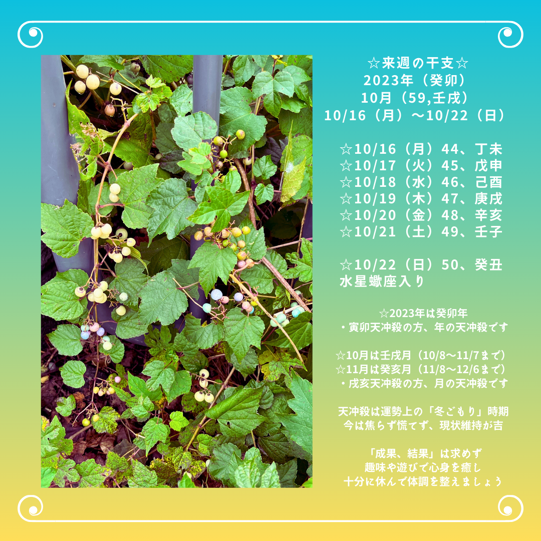 ☆来週の干支☆ 2023年（癸卯）  10/16（月）〜10/22（日）