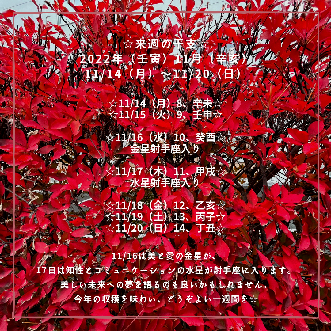 ☆来週の干支☆ 2022年（壬寅）11月（辛亥） 11/14（月）〜11/20（日）