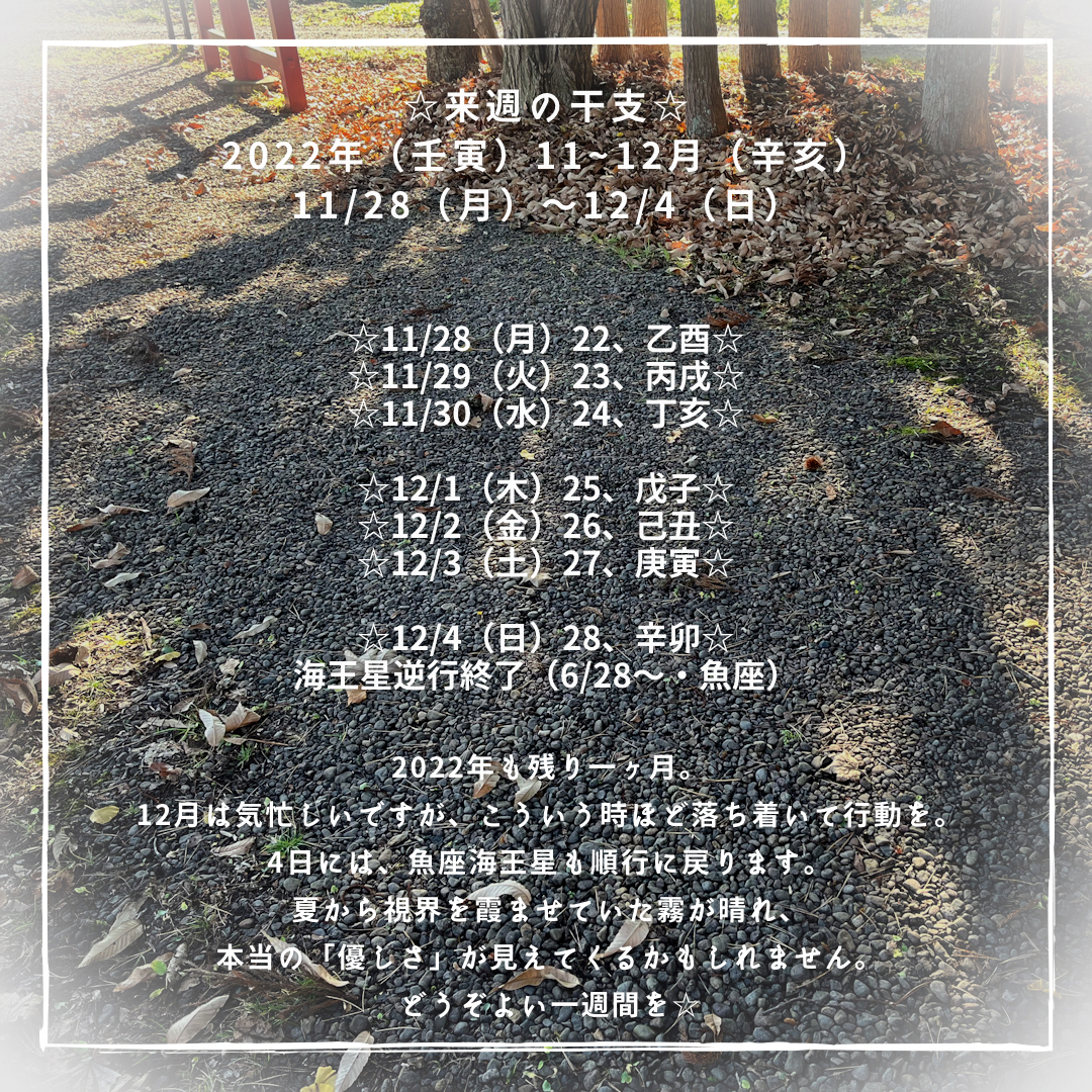 ☆来週の干支☆2022年（壬寅）11/28（月）〜12/4（日）