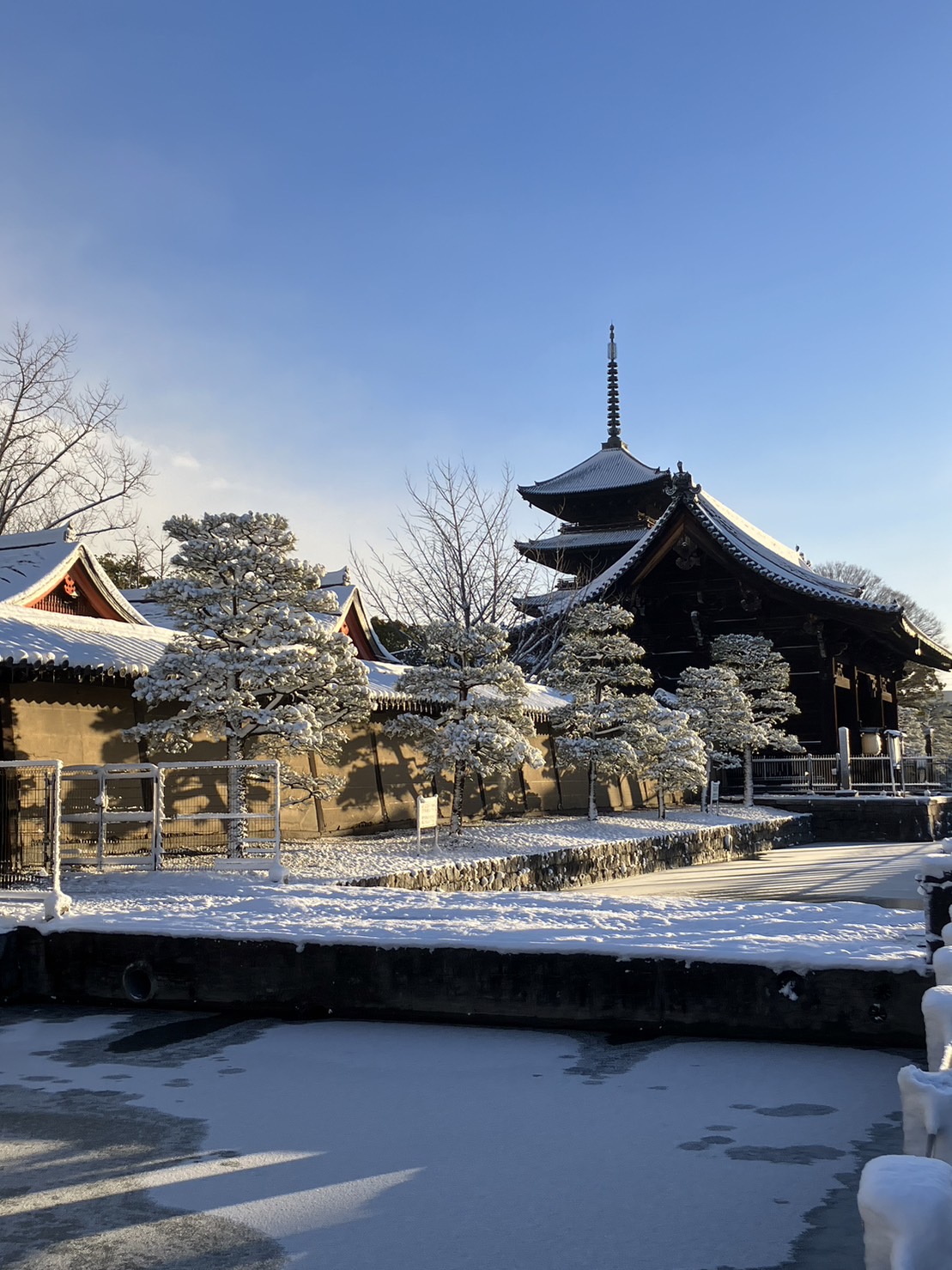 京都は、雪が似合う街なんだけど、降り過ぎだよね。