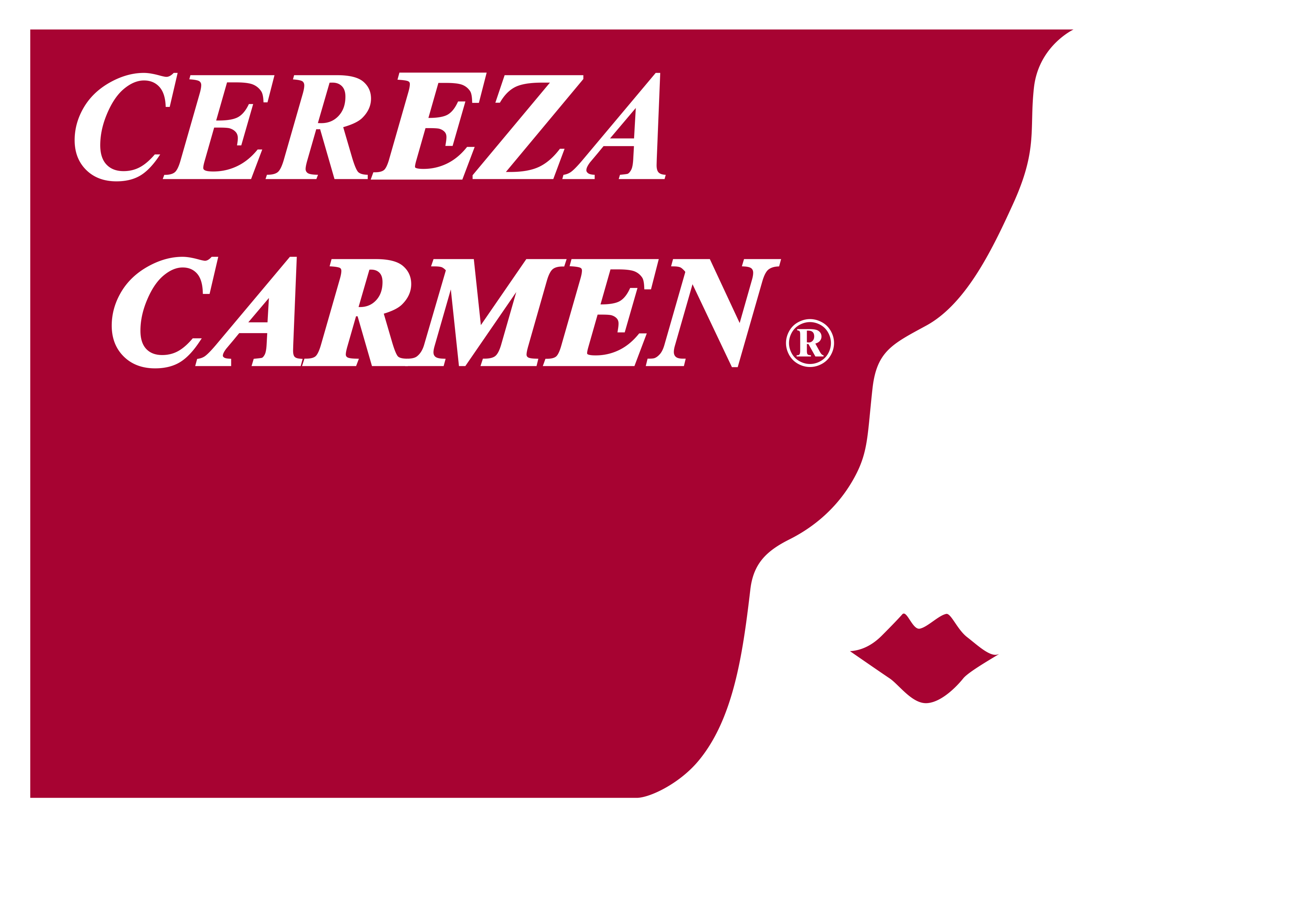 洗えるシルクCEREZACARMEN（セレーサカルメン）が 今回初めてヨーロッパで発表されます。