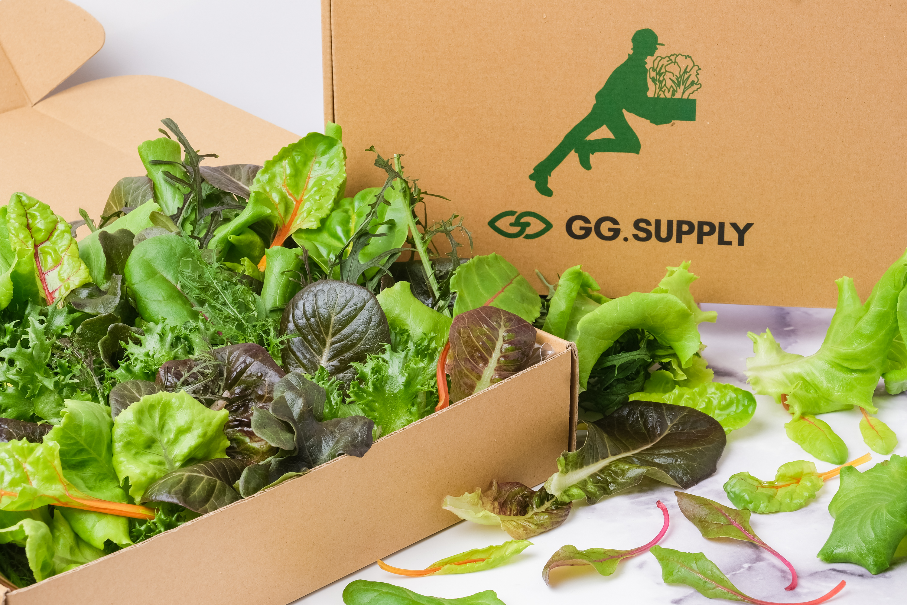 年末年始休暇のお知らせ