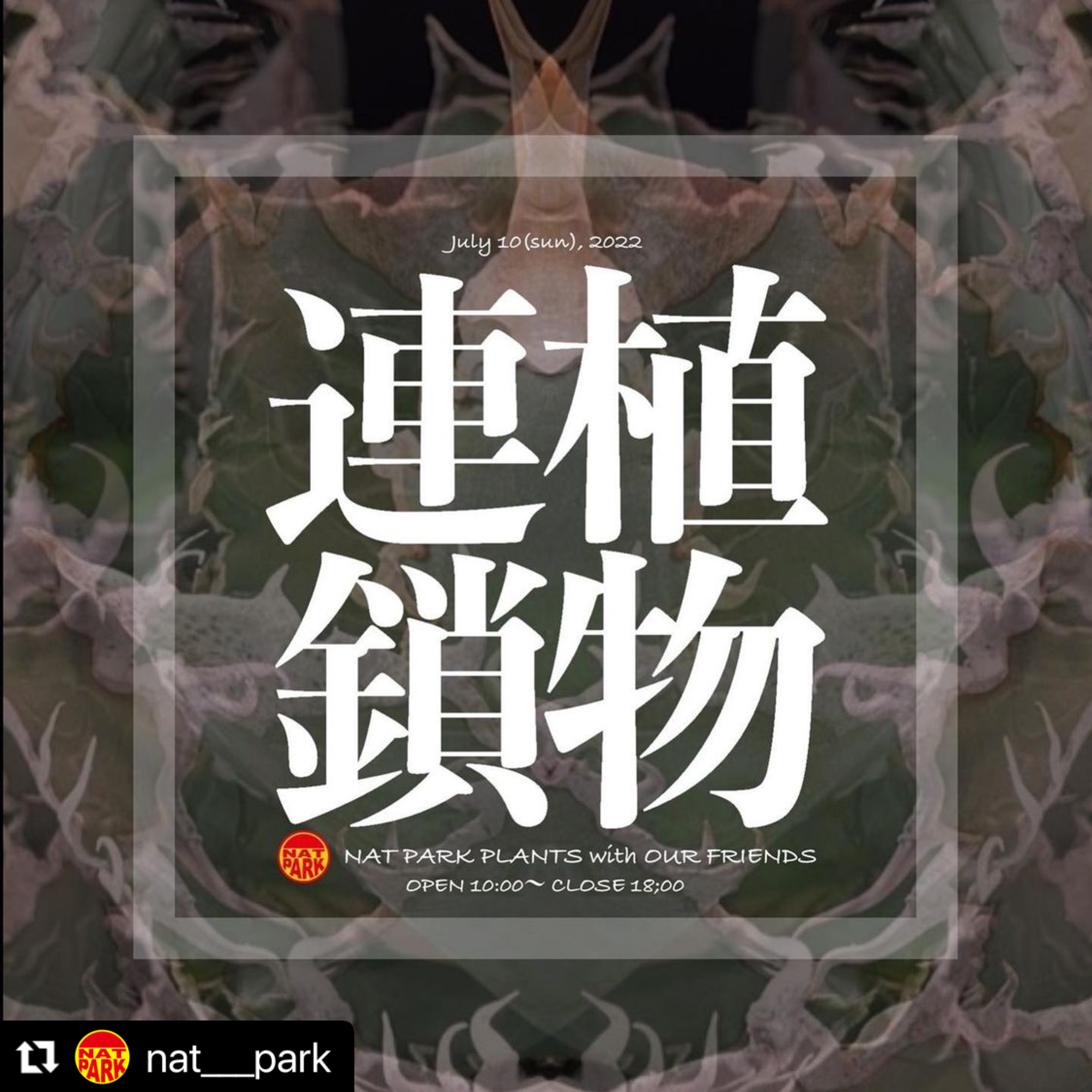 植物イベント開催！