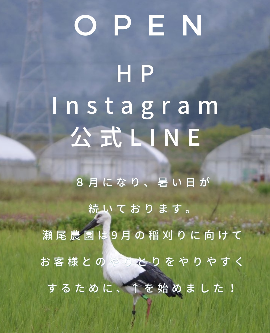 HPとInstagramと公式LINE