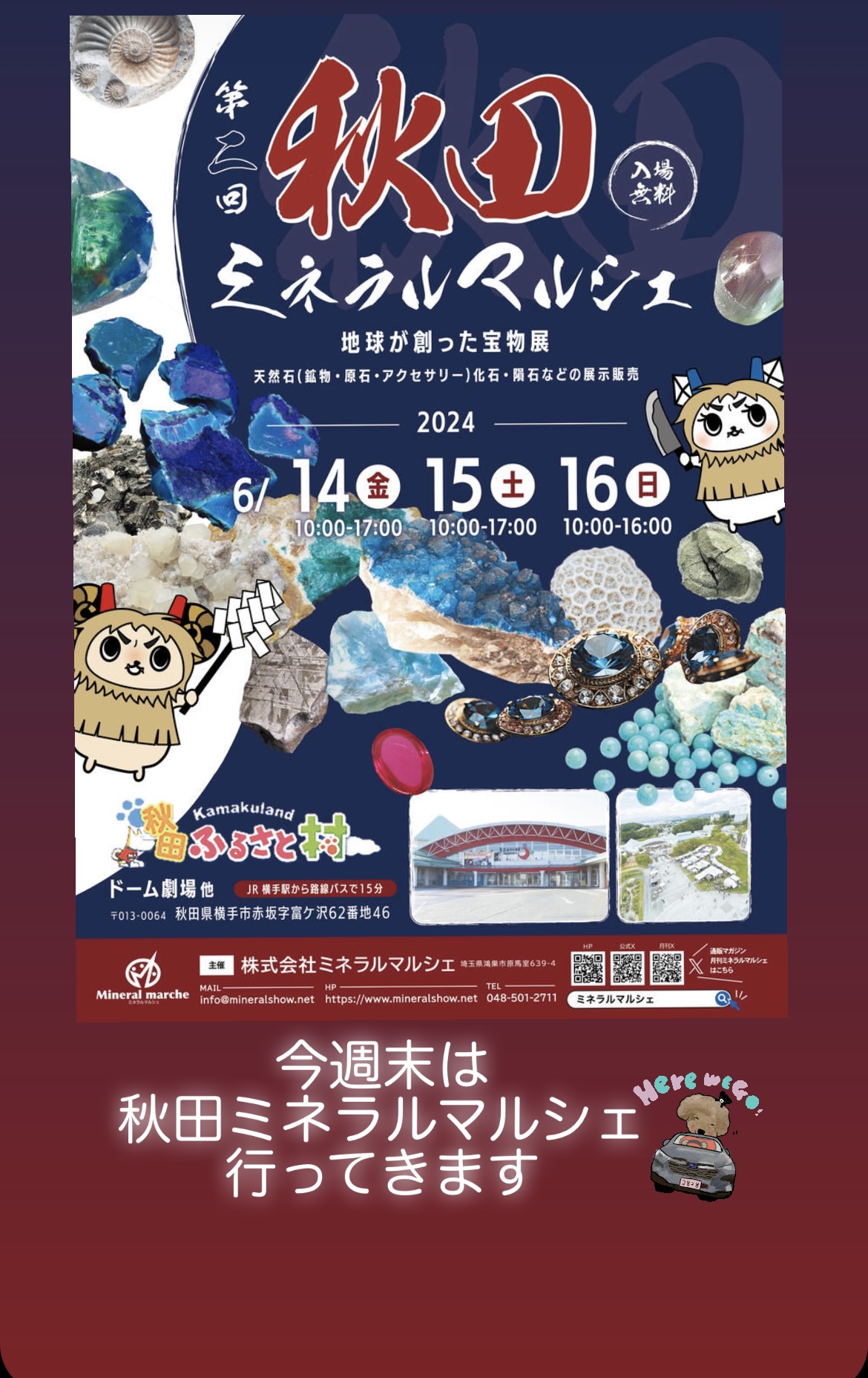 出展のご案内☆*:.｡.