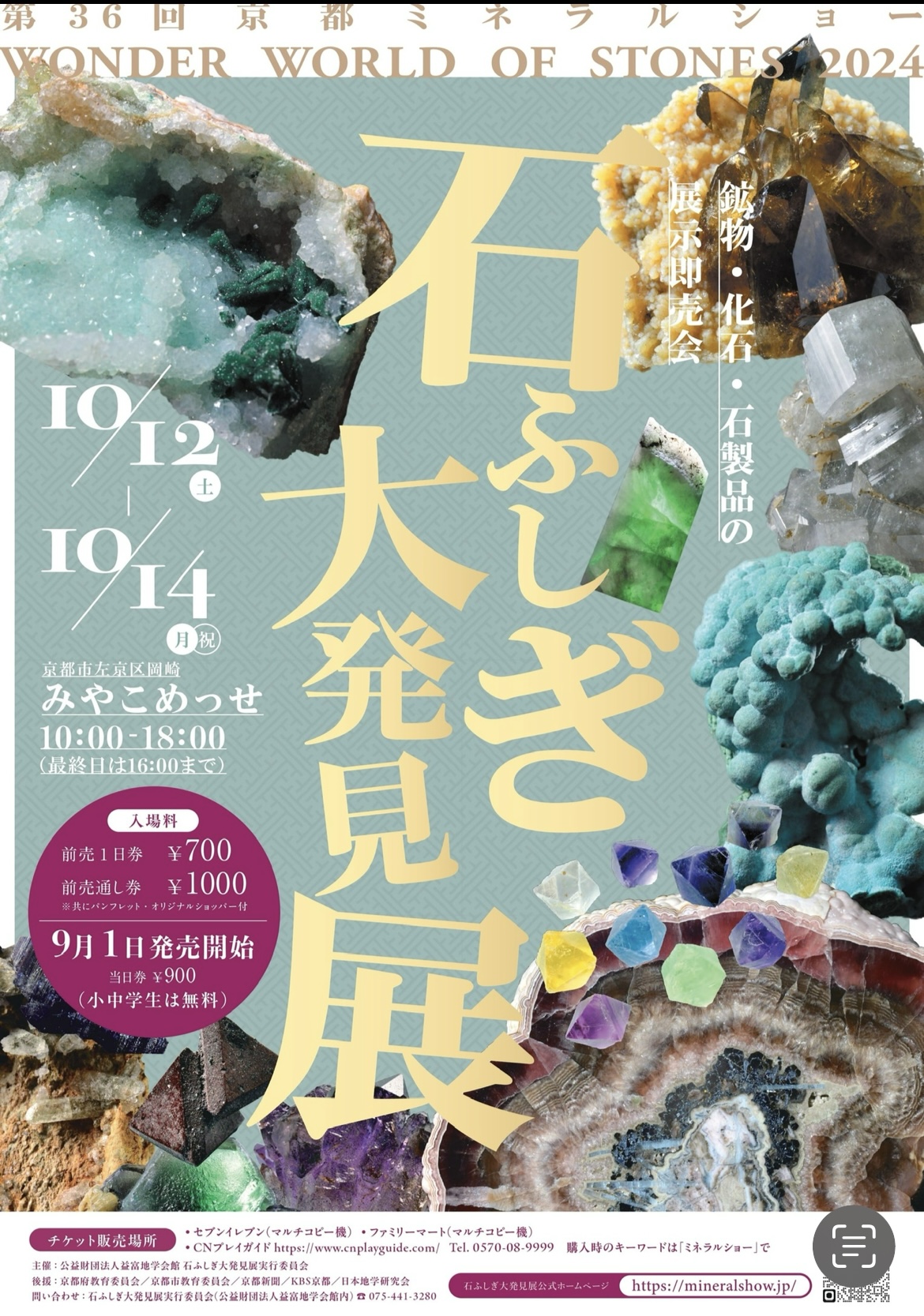 出展のご案内⟡.·