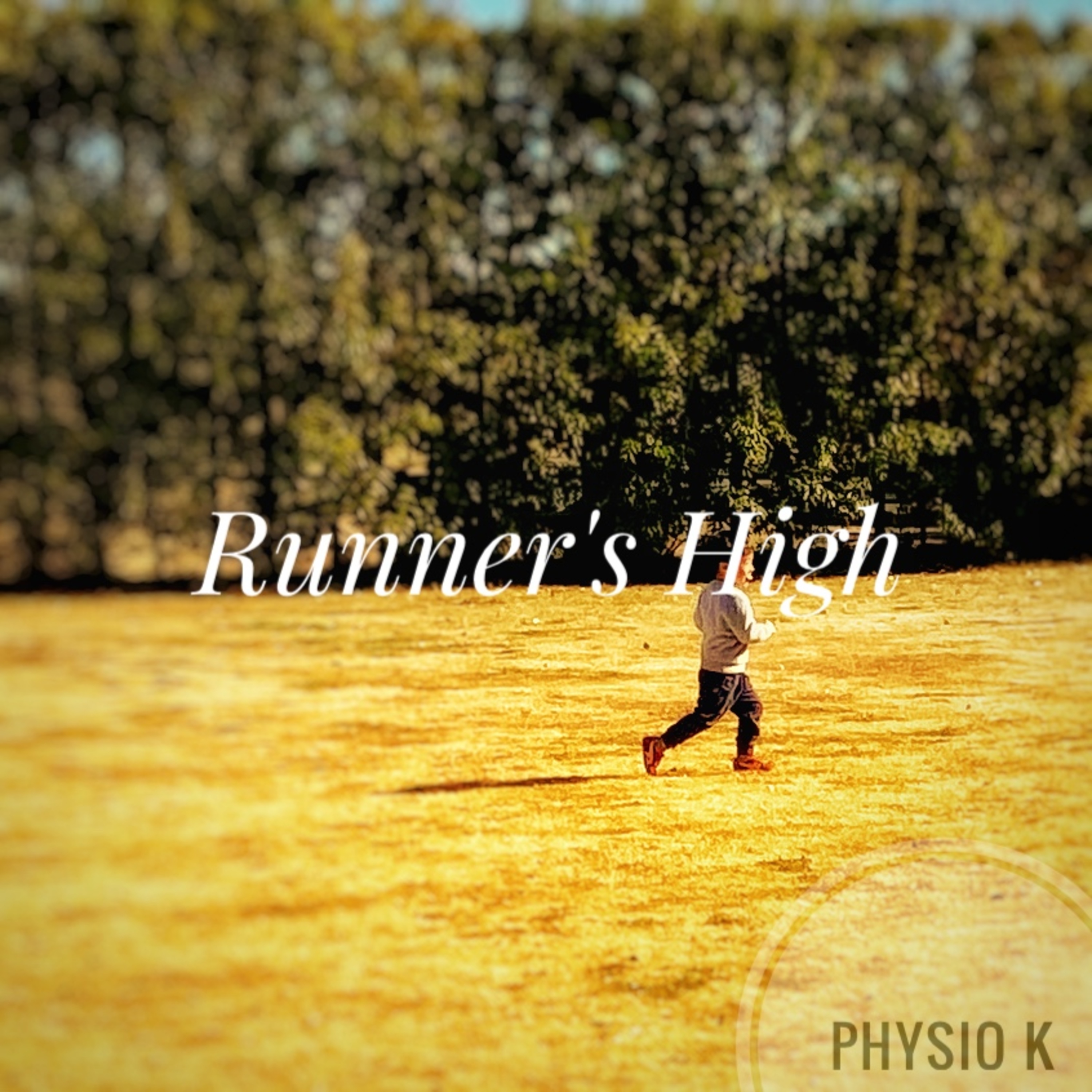 Runner's High