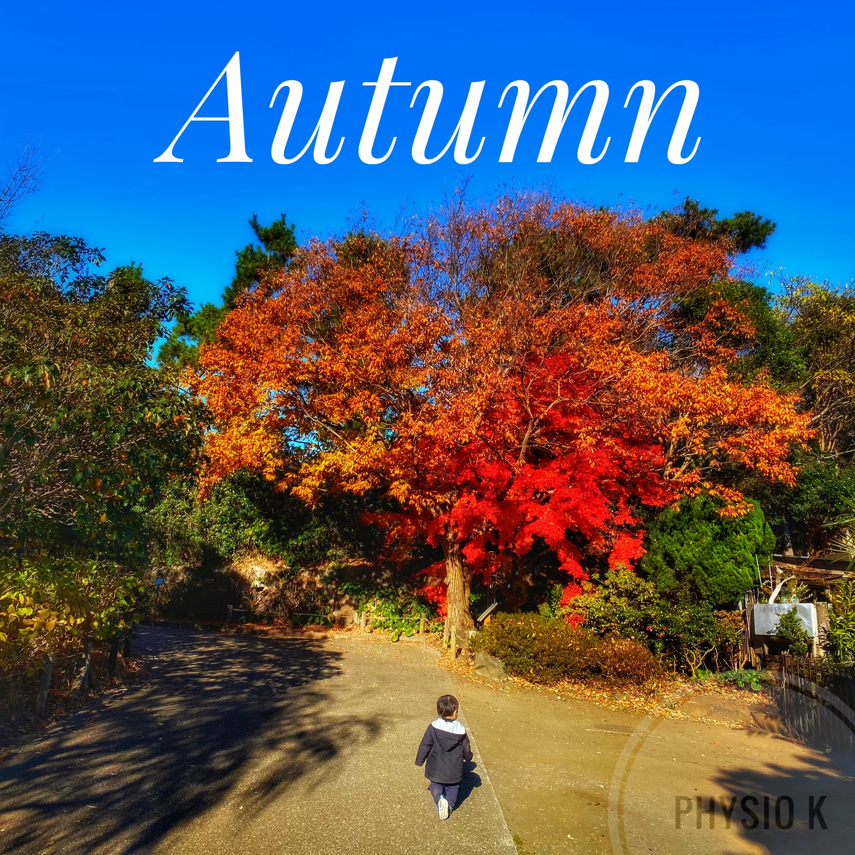 Autumn