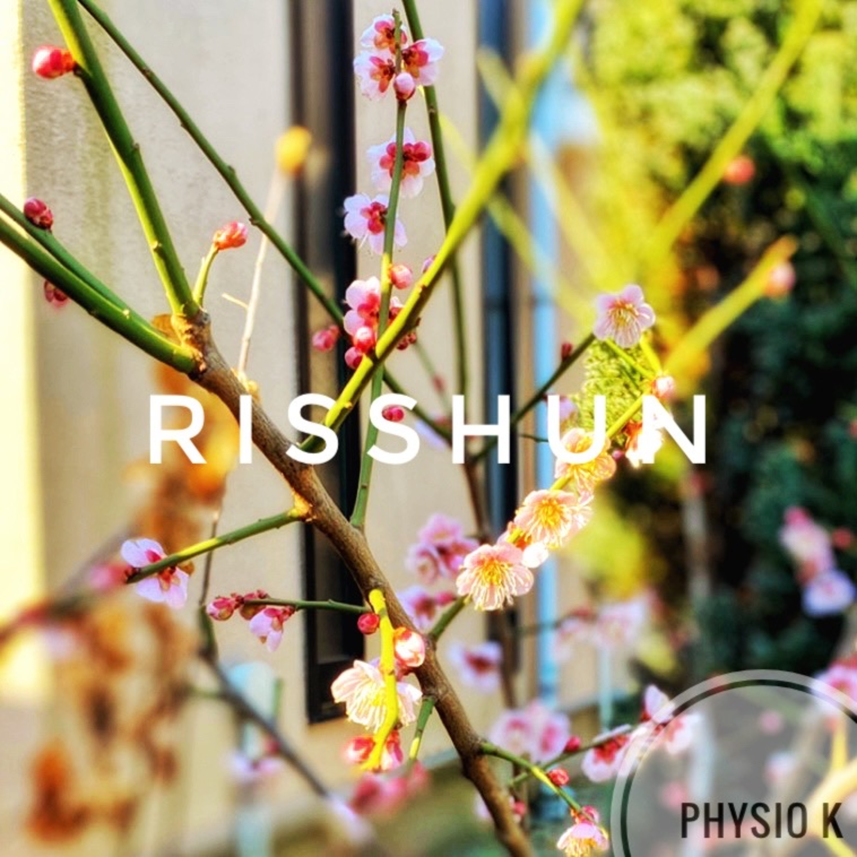 RISSHUN