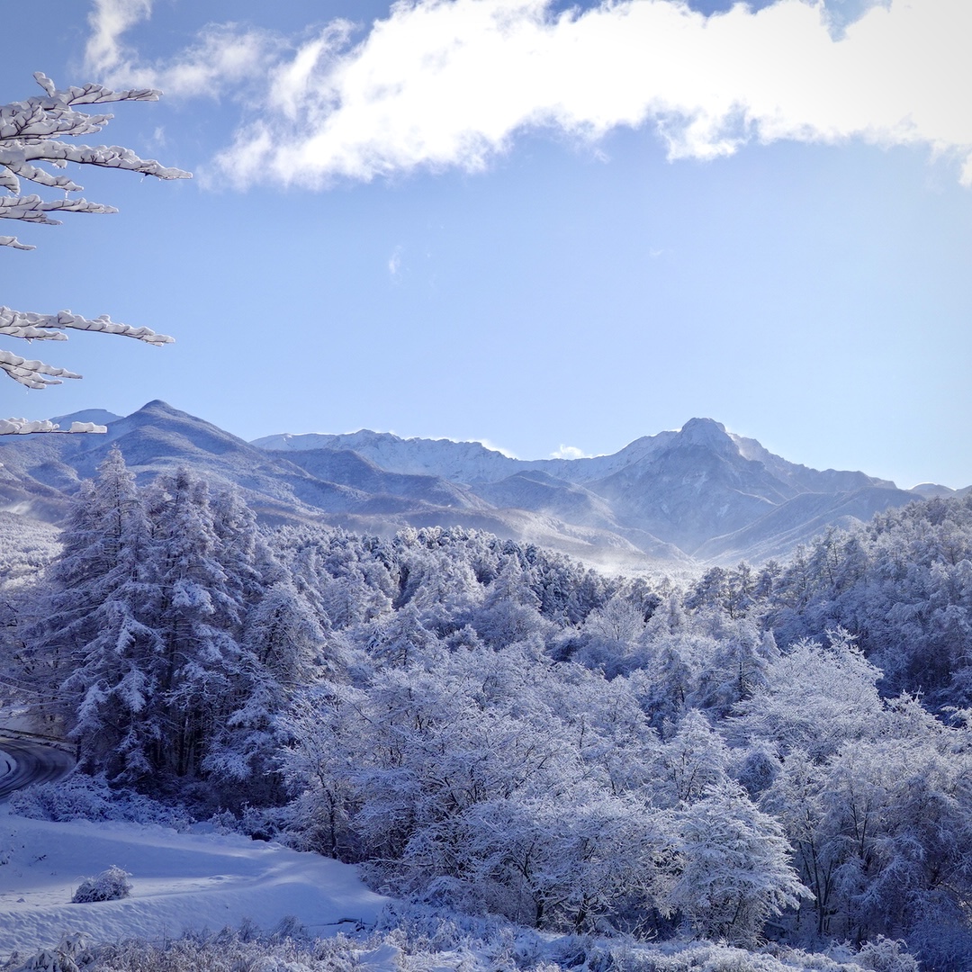 締めの雪景色