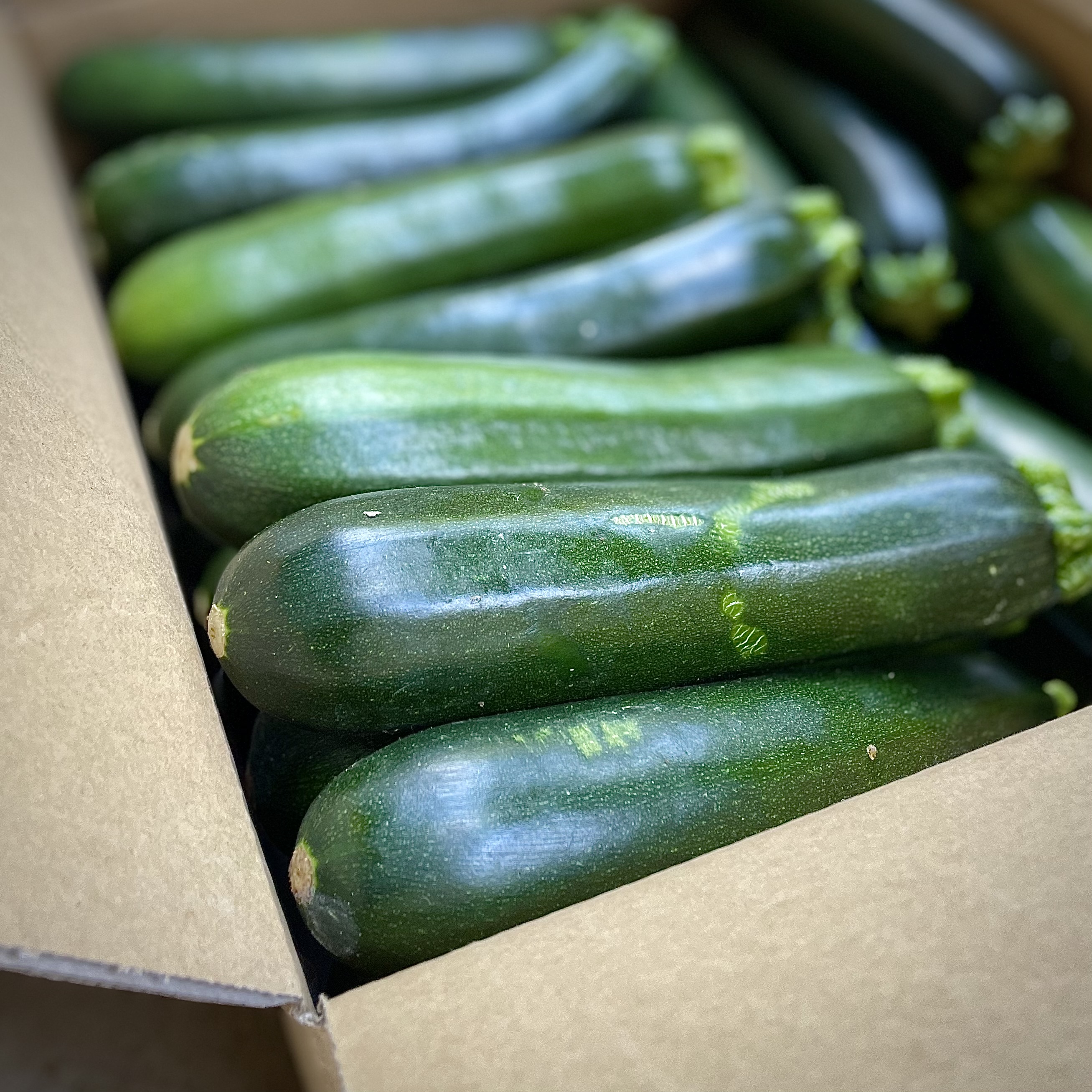 廃棄野菜に新しい価値