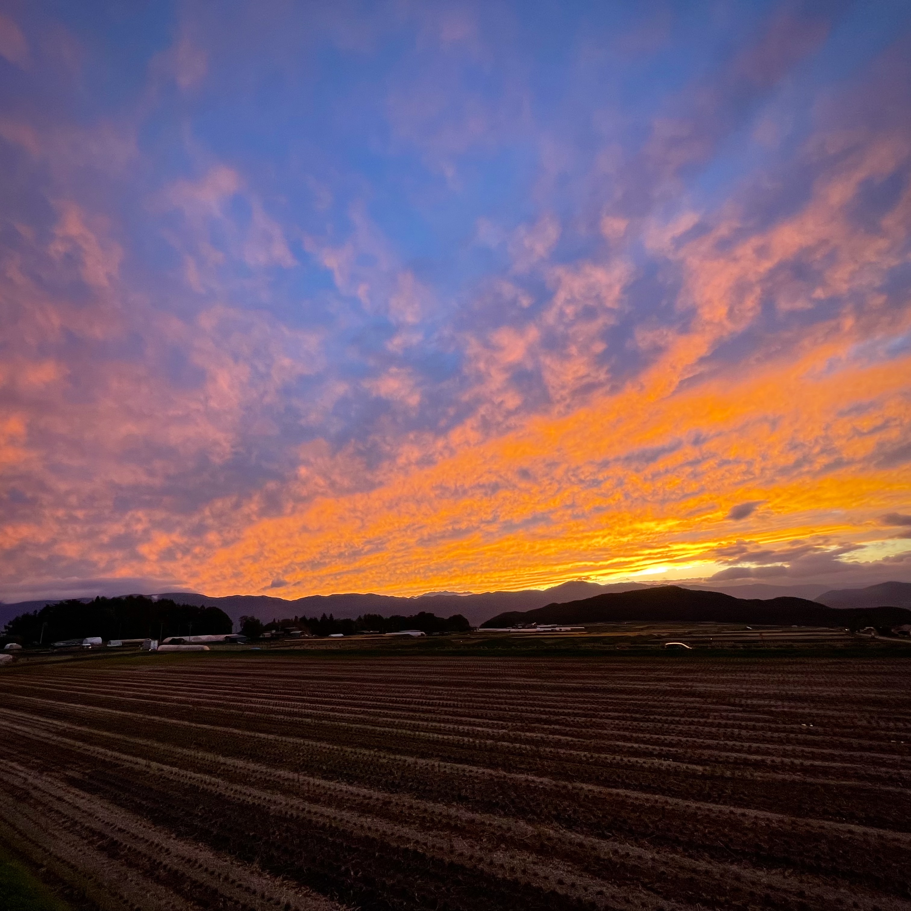 西の空には毎日美しい夕焼け