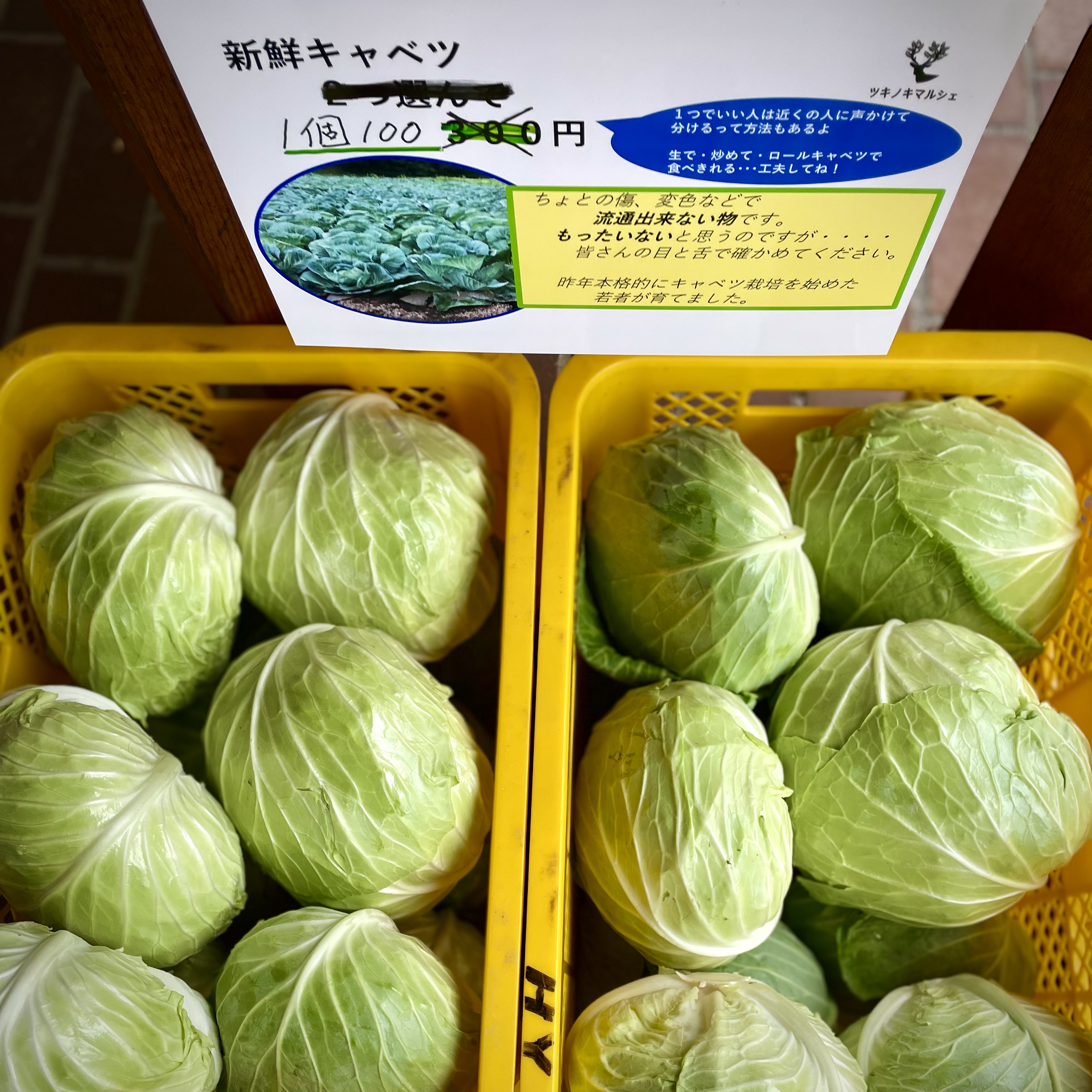 出荷できない野菜のレスキューを！