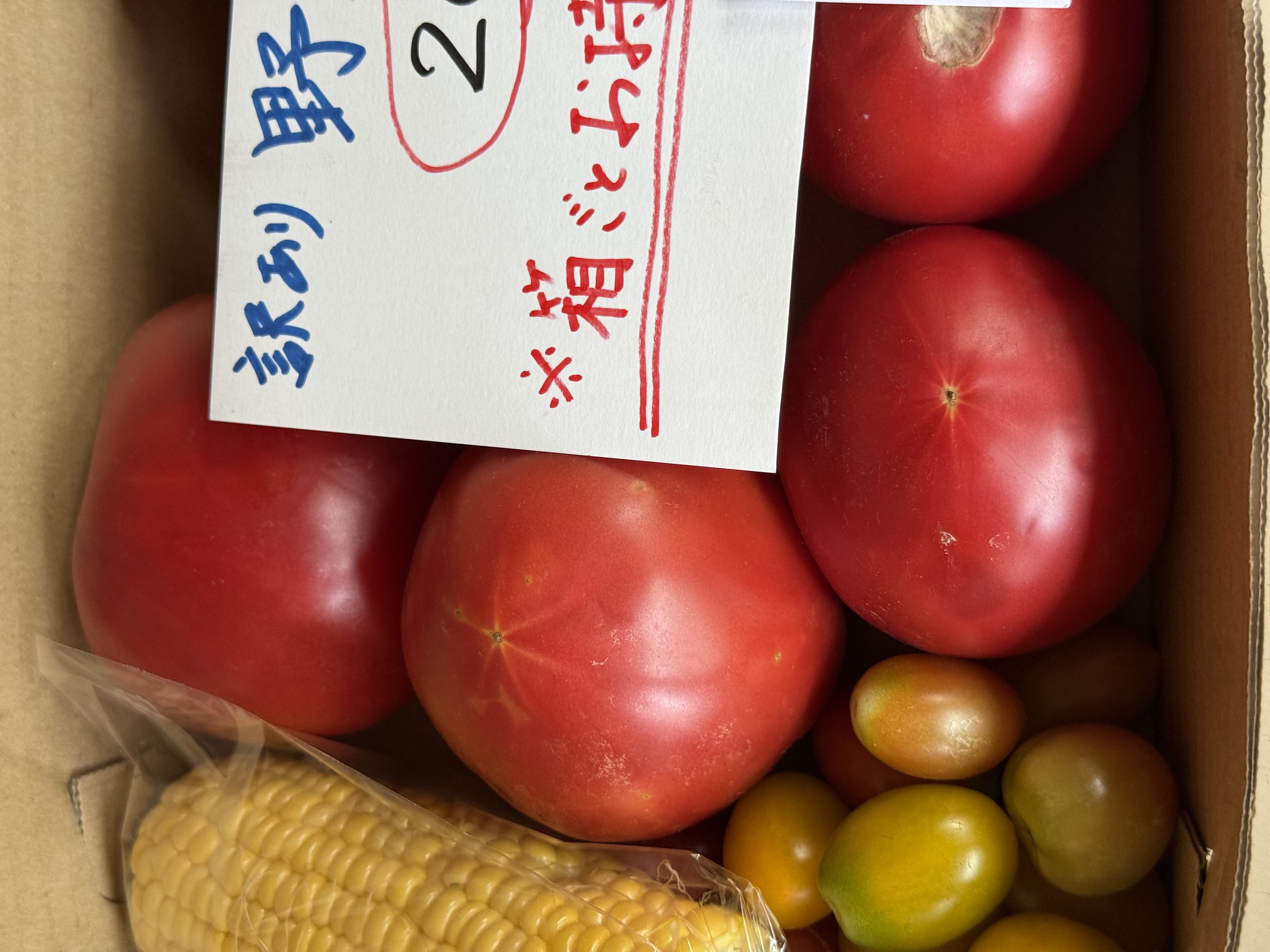 全ての野菜が朝取り!