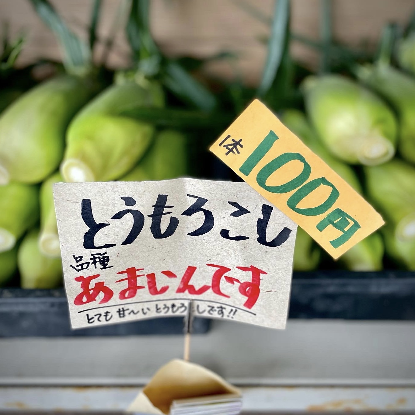 ツキノキの野菜箱
