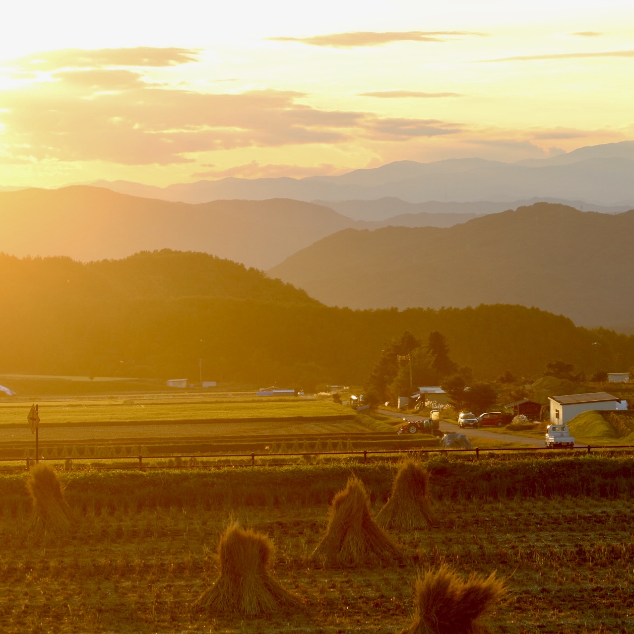 田んぼの夕暮れ