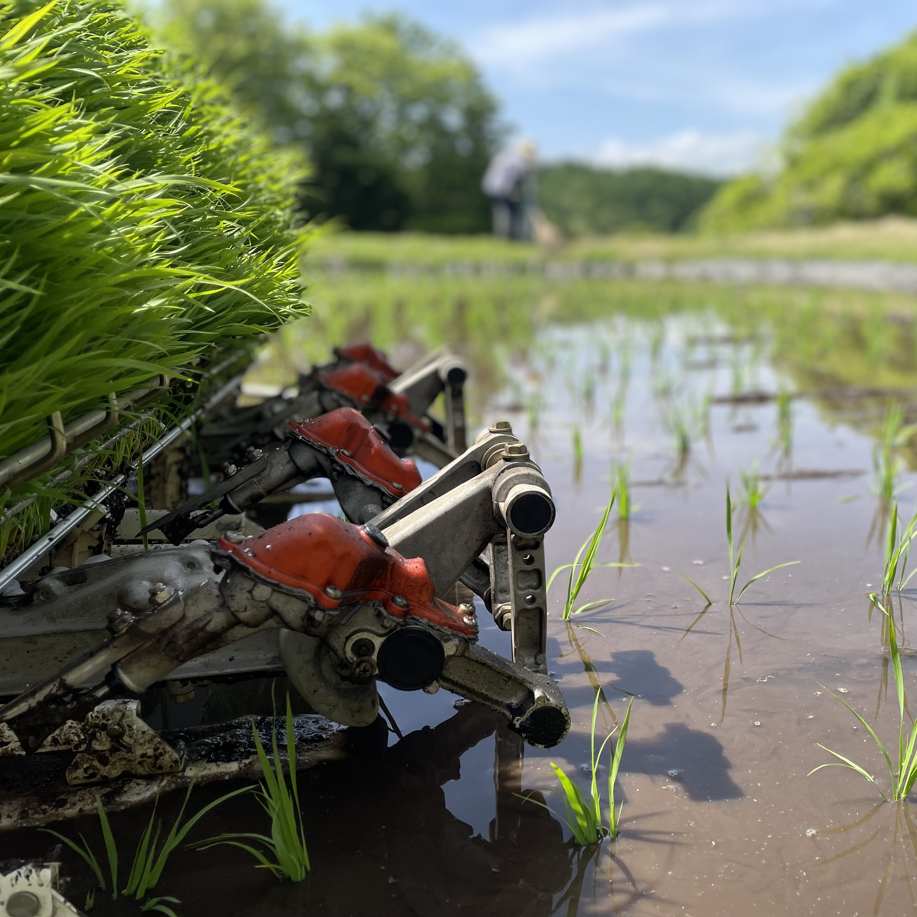 コトコト田植え機