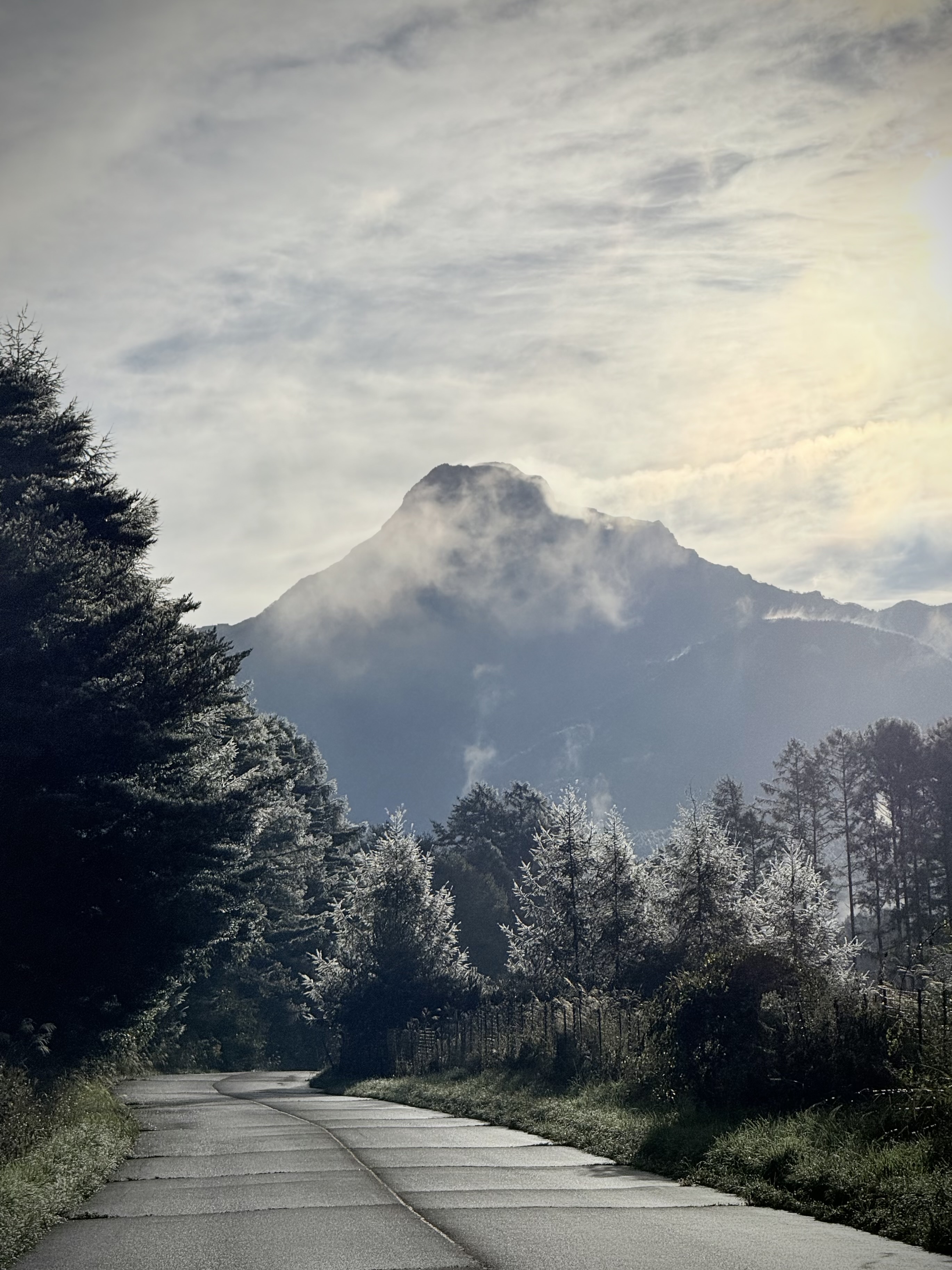 樹氷のような雨上がり