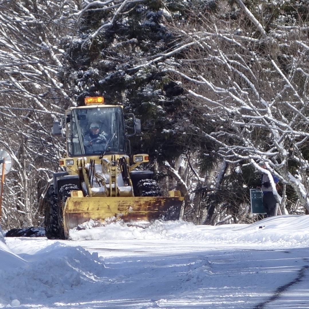 寒波と除雪作業