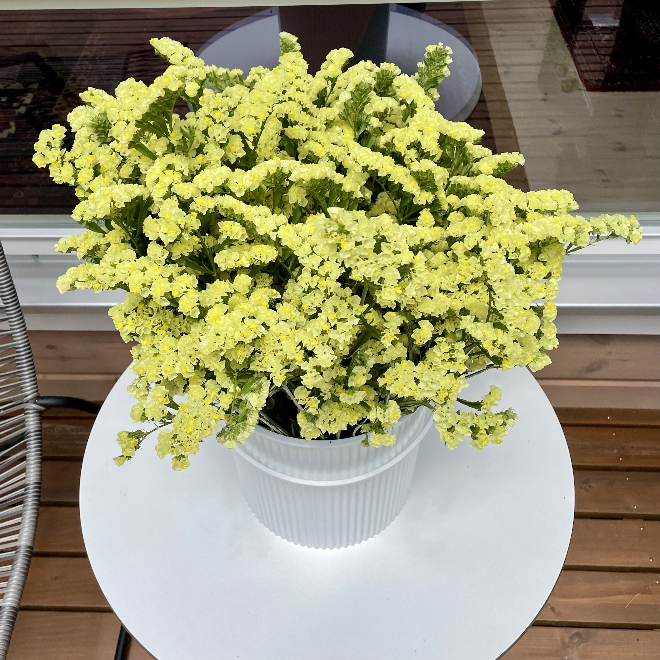 お花のお裾分け