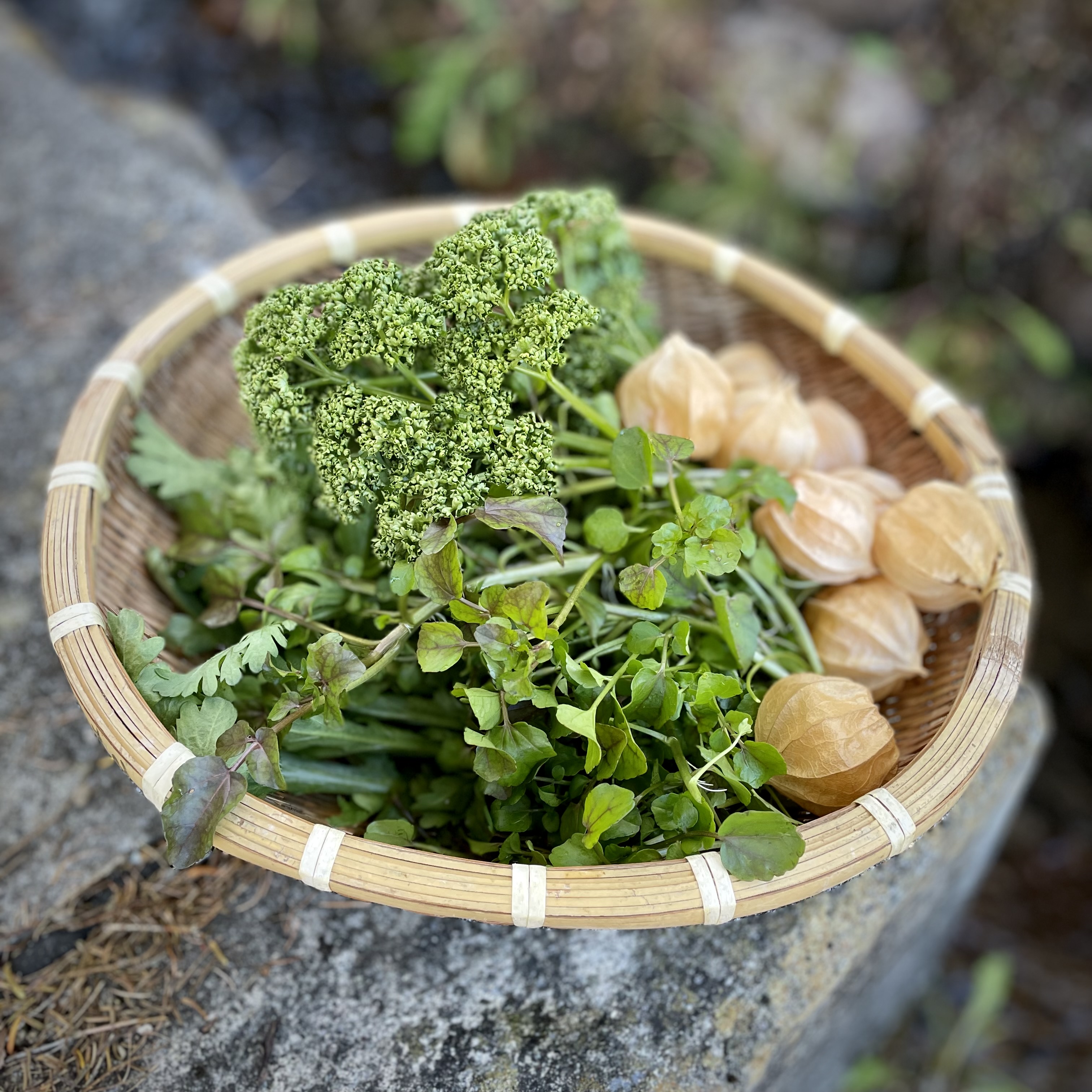 冬の間食べる野菜