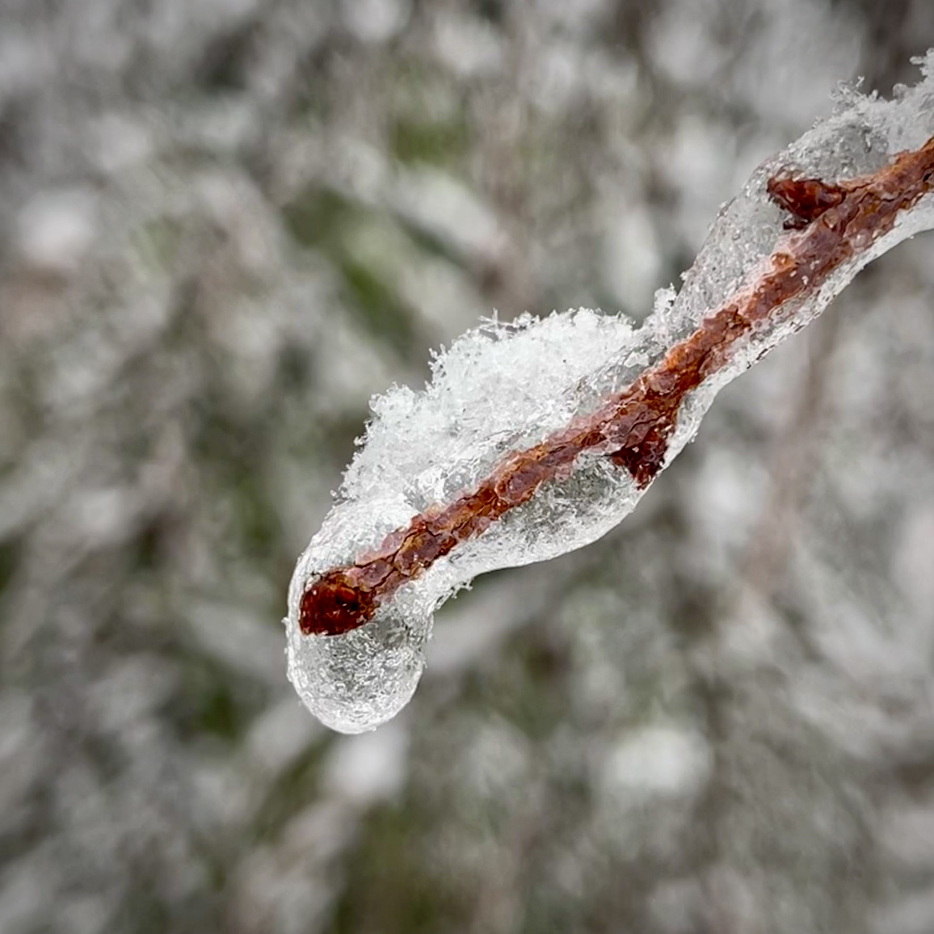 雨氷雪