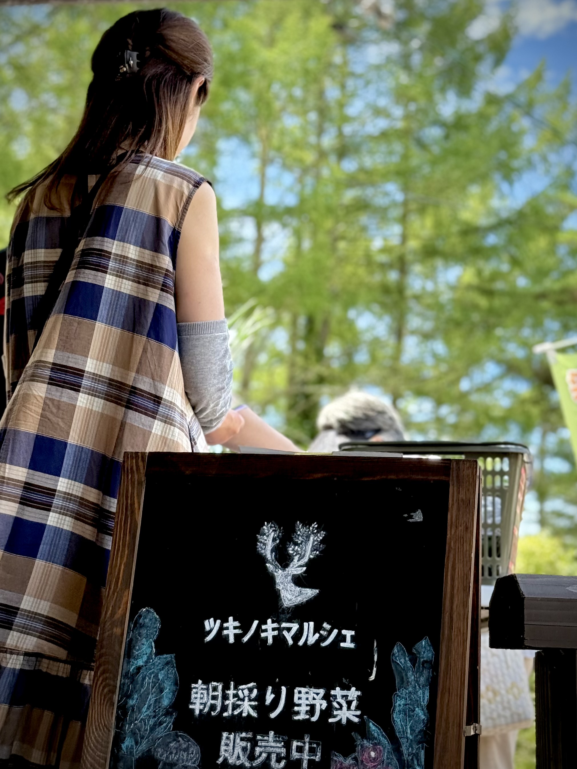 森が人をつなぐ夏