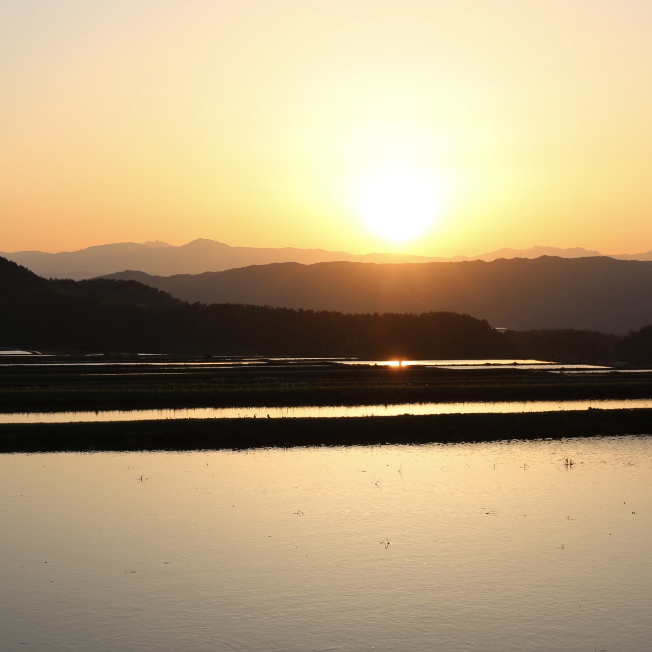 静かにお田植えを待つ田んぼ