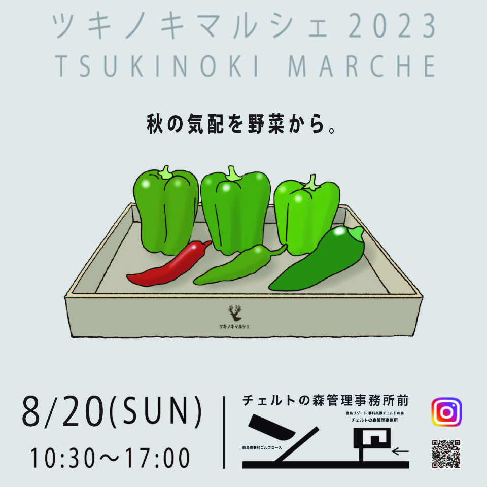 秋の野菜