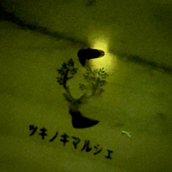 ほたる