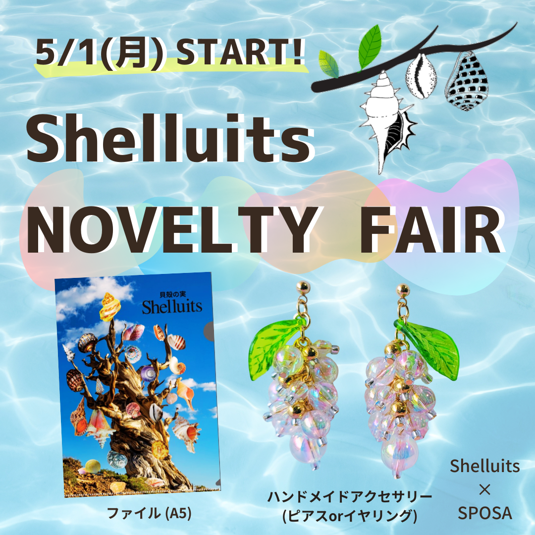 ✨🍇ノベルティフェアのお知らせ🐚🌿【※終了しています】